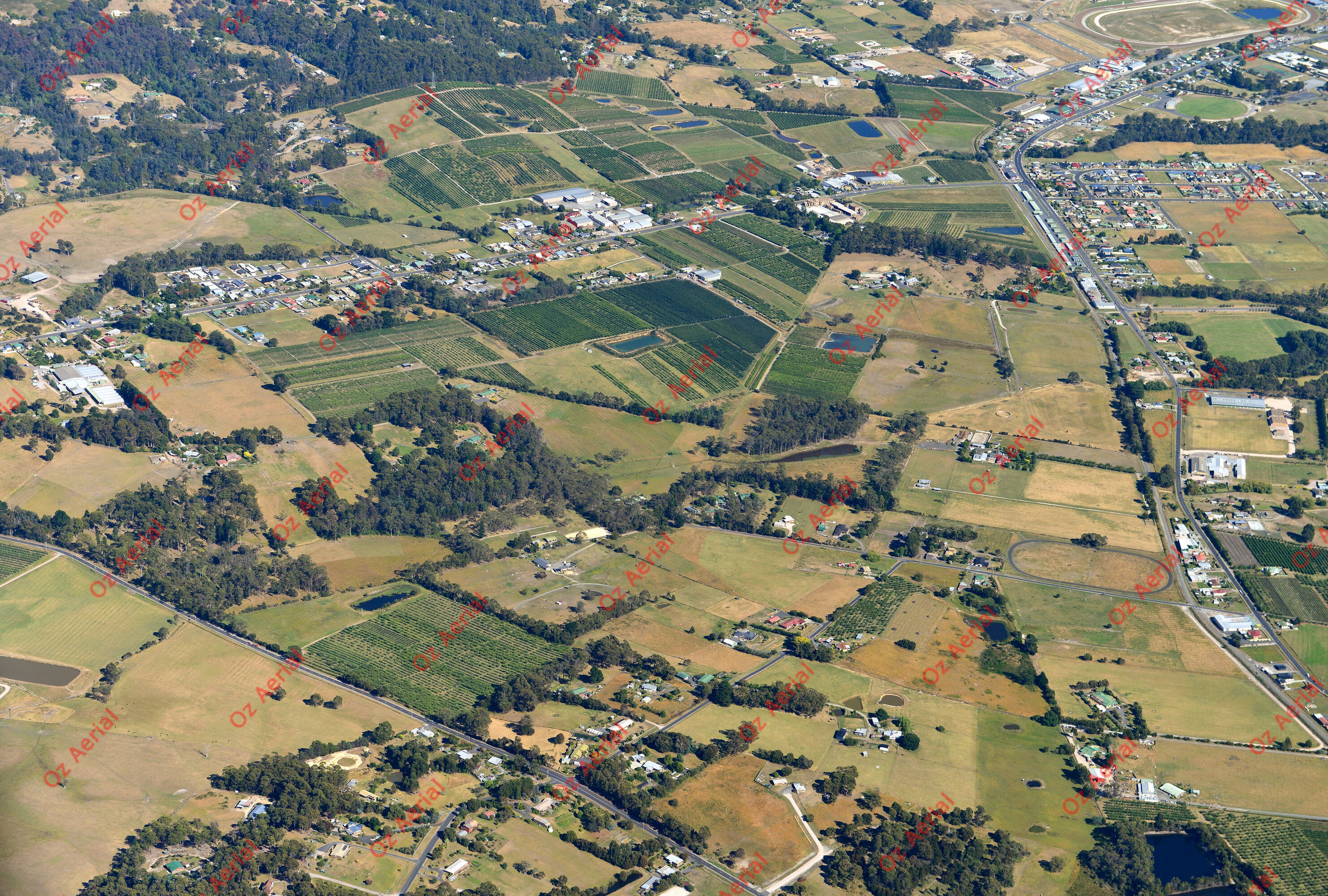 Spreyton&nbsp;&nbsp;–&nbsp;&nbsp;DSC_2084.JPG