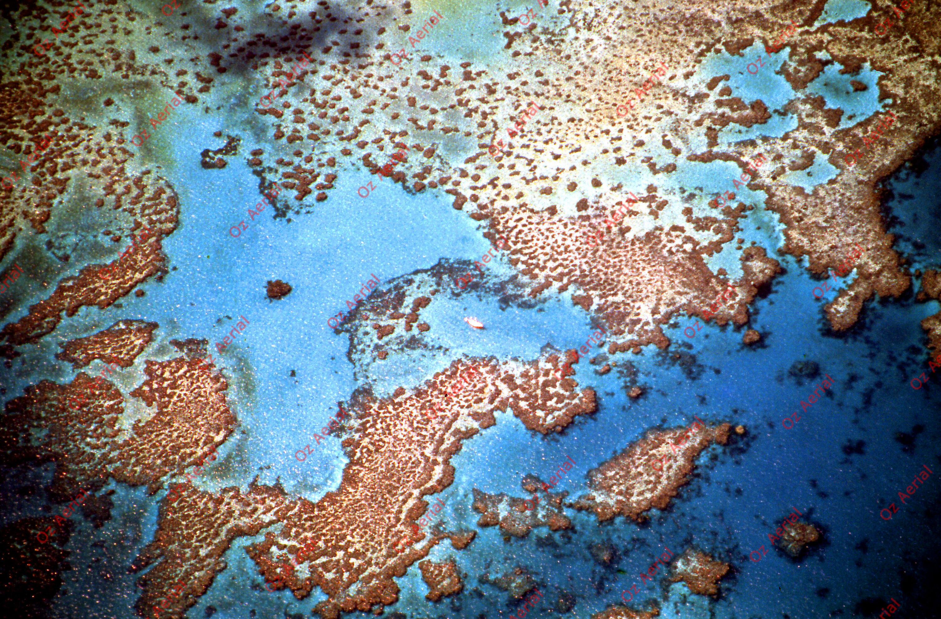 Rainforest to Reef&nbsp;&nbsp;–&nbsp;&nbsp;6095e0f15d45b_i100.jpg