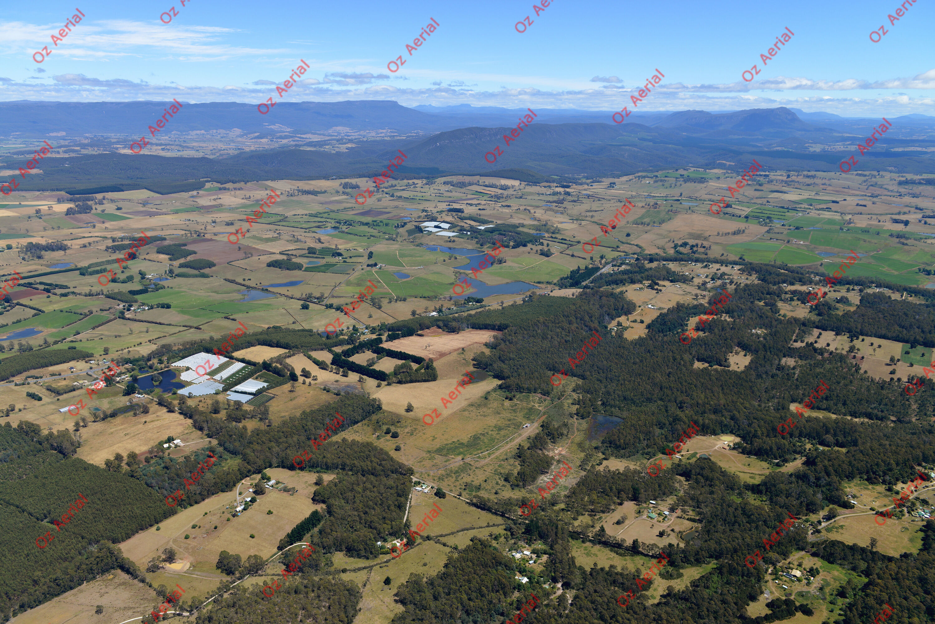 Christmas Hills&nbsp;&nbsp;–&nbsp;&nbsp;DSC_3602.JPG