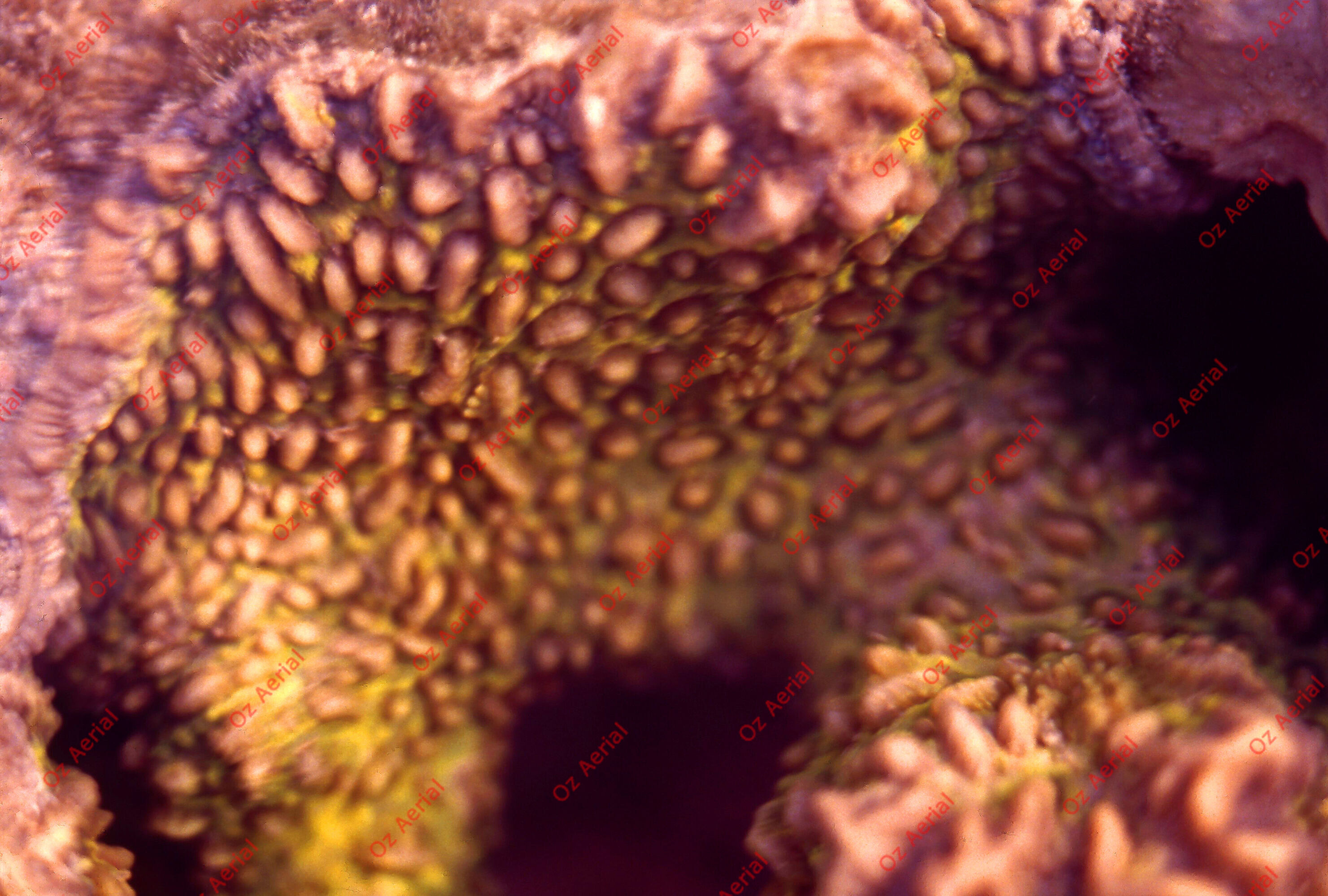 Something Fishy&nbsp;&nbsp;–&nbsp;&nbsp;6095eced6ed42_j72.jpg