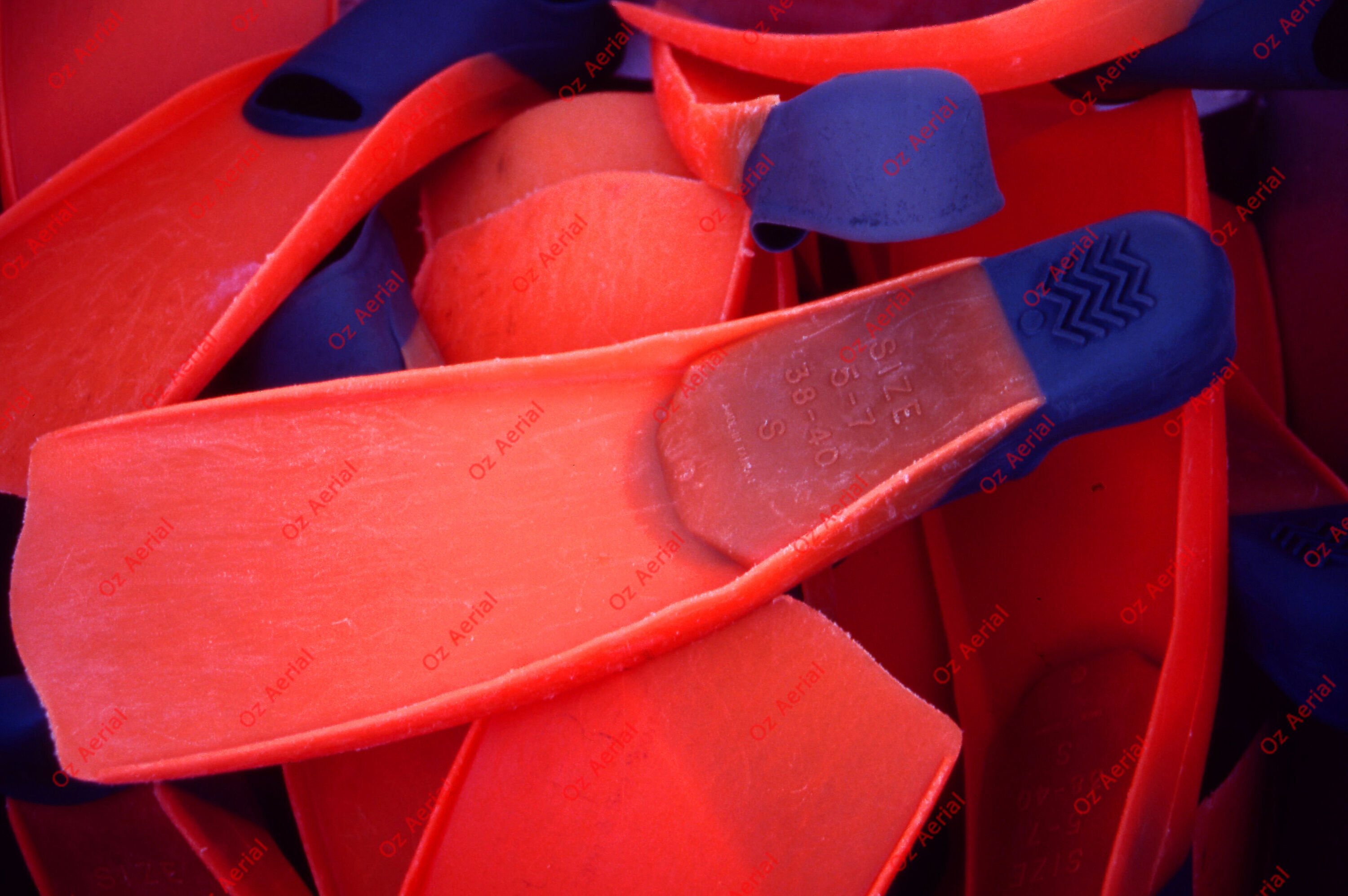 Something Fishy&nbsp;&nbsp;–&nbsp;&nbsp;6095ecc784fe1_j30.jpg