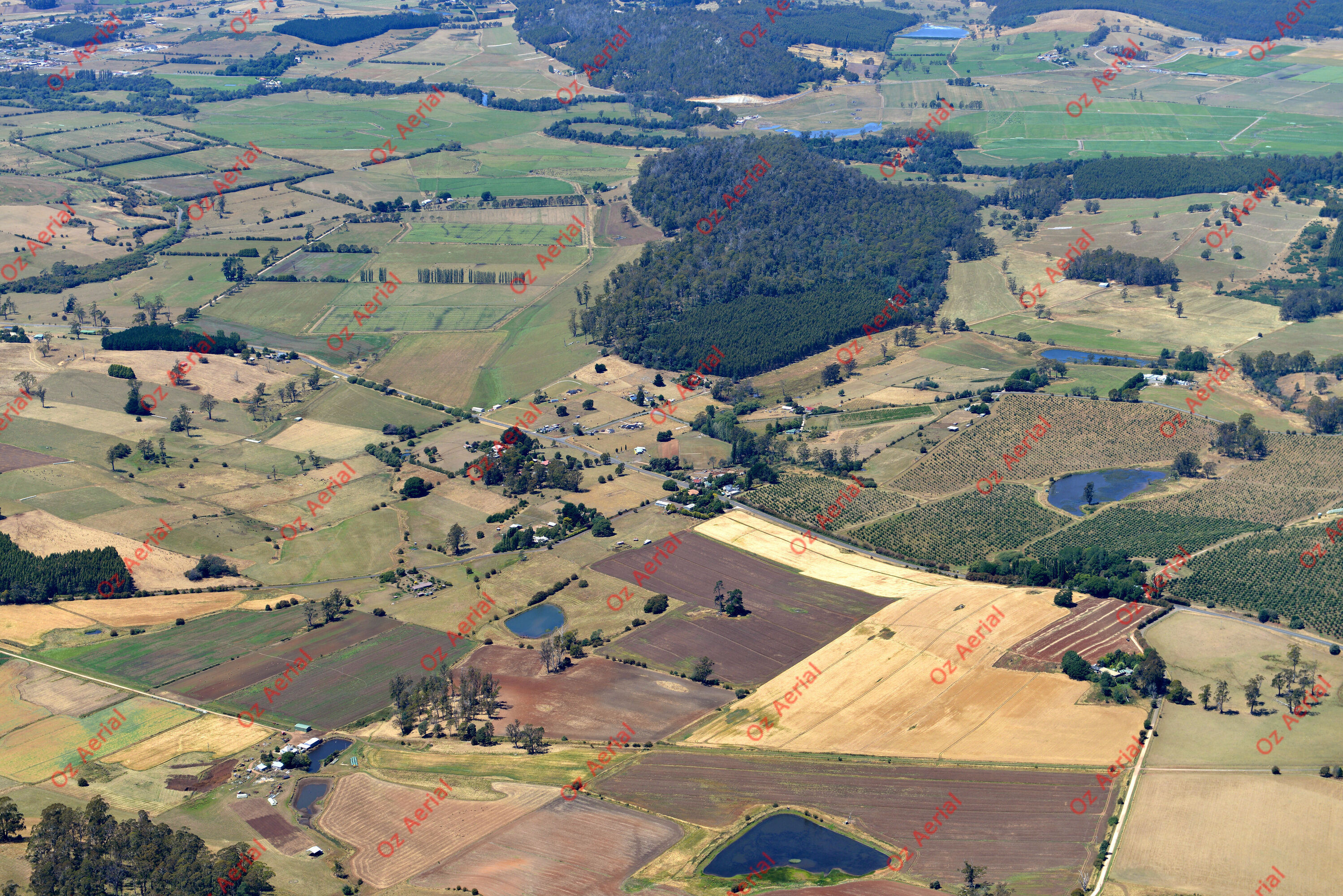 Red Hills&nbsp;&nbsp;–&nbsp;&nbsp;DSC_3593.JPG