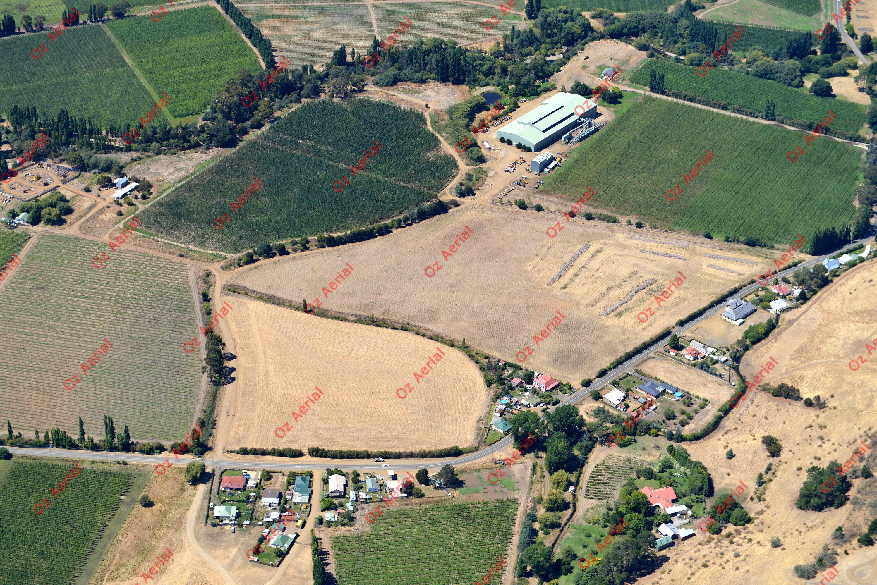 Bushy Park&nbsp;&nbsp;–&nbsp;&nbsp;DSC_4672.JPG