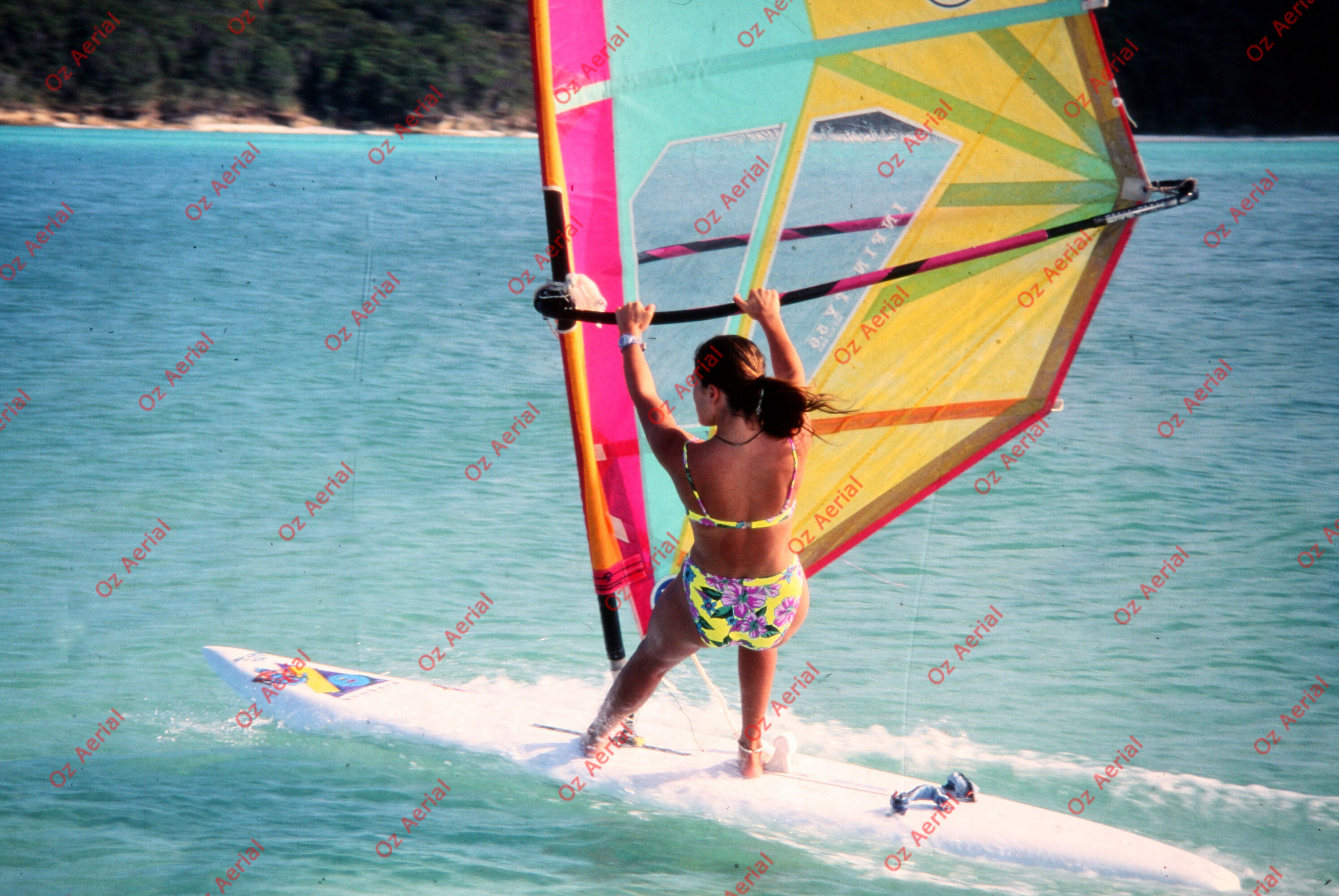 Fun in the Sun&nbsp;&nbsp;–&nbsp;&nbsp;6095d8ba1efb1_f98.JPG