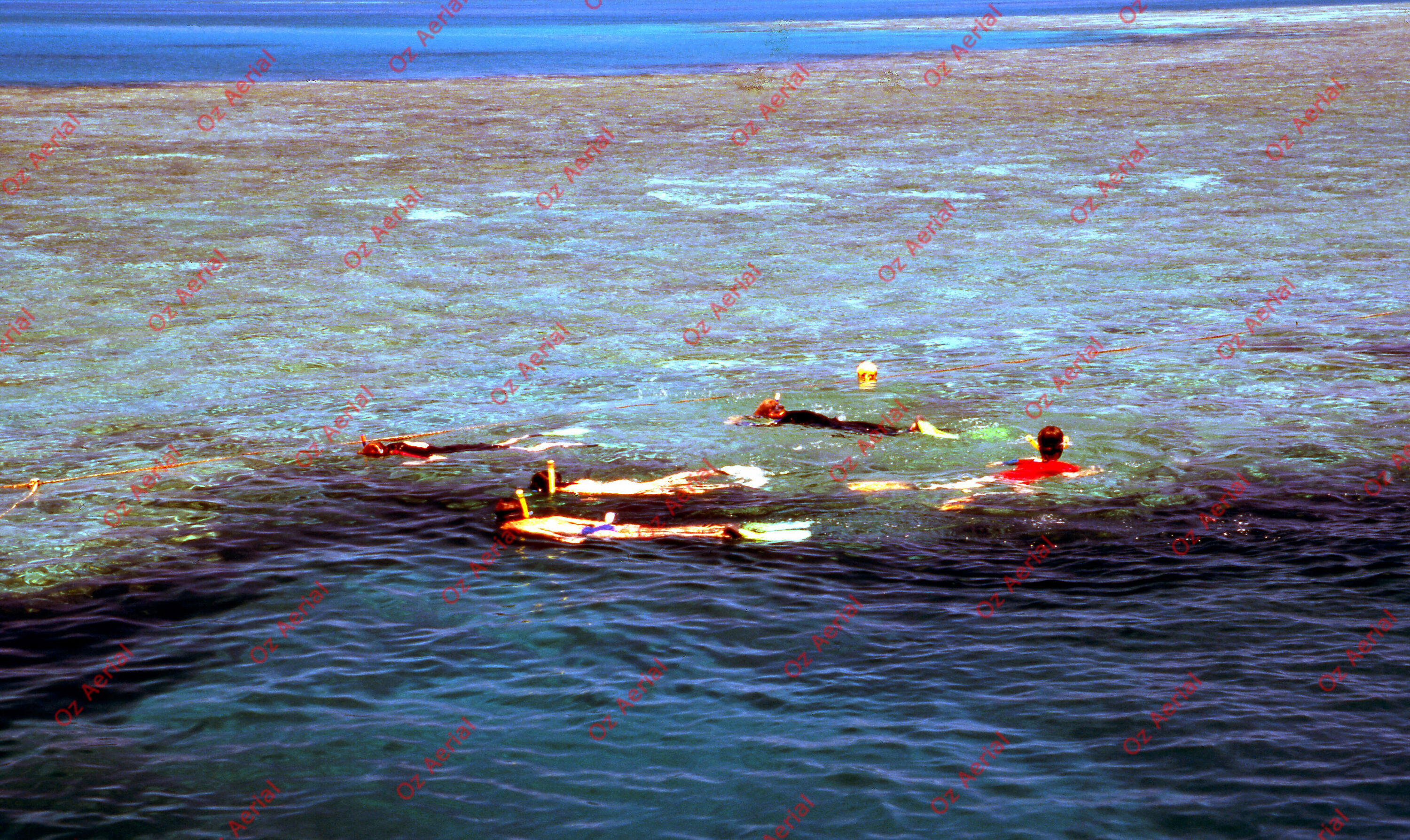 Rainforest to Reef&nbsp;&nbsp;–&nbsp;&nbsp;6095e0d987083_i72.jpg