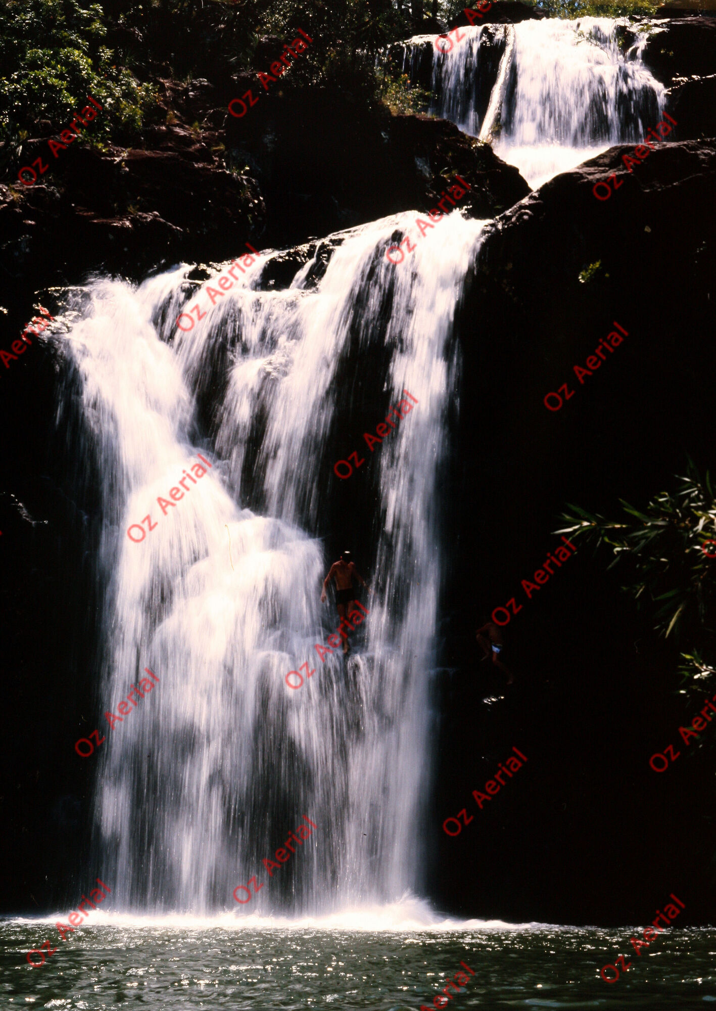 Rainforest to Reef&nbsp;&nbsp;–&nbsp;&nbsp;6095e0b1e7b0f_i41.JPG