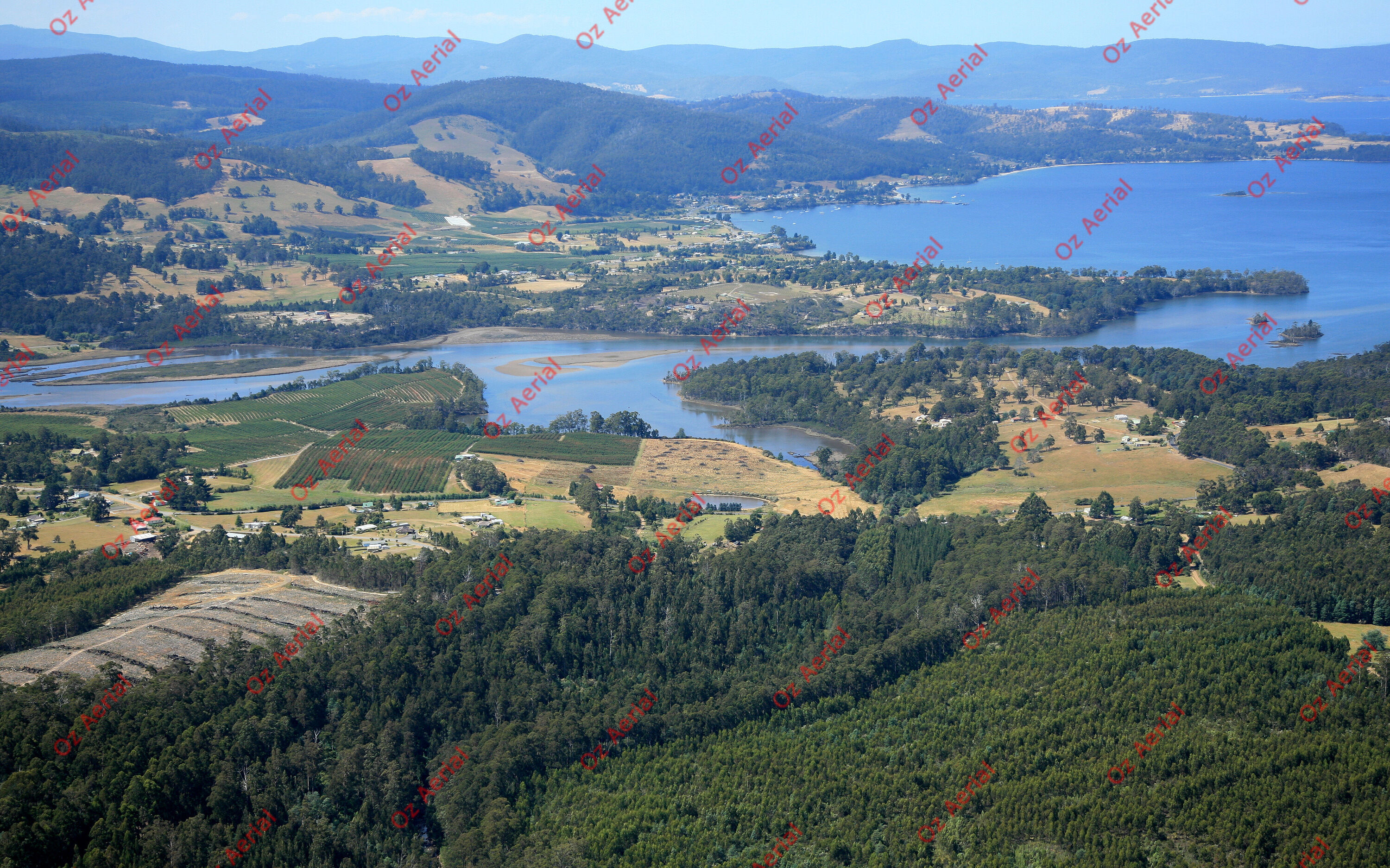 Raminea&nbsp;&nbsp;–&nbsp;&nbsp;IMG_0335.JPG