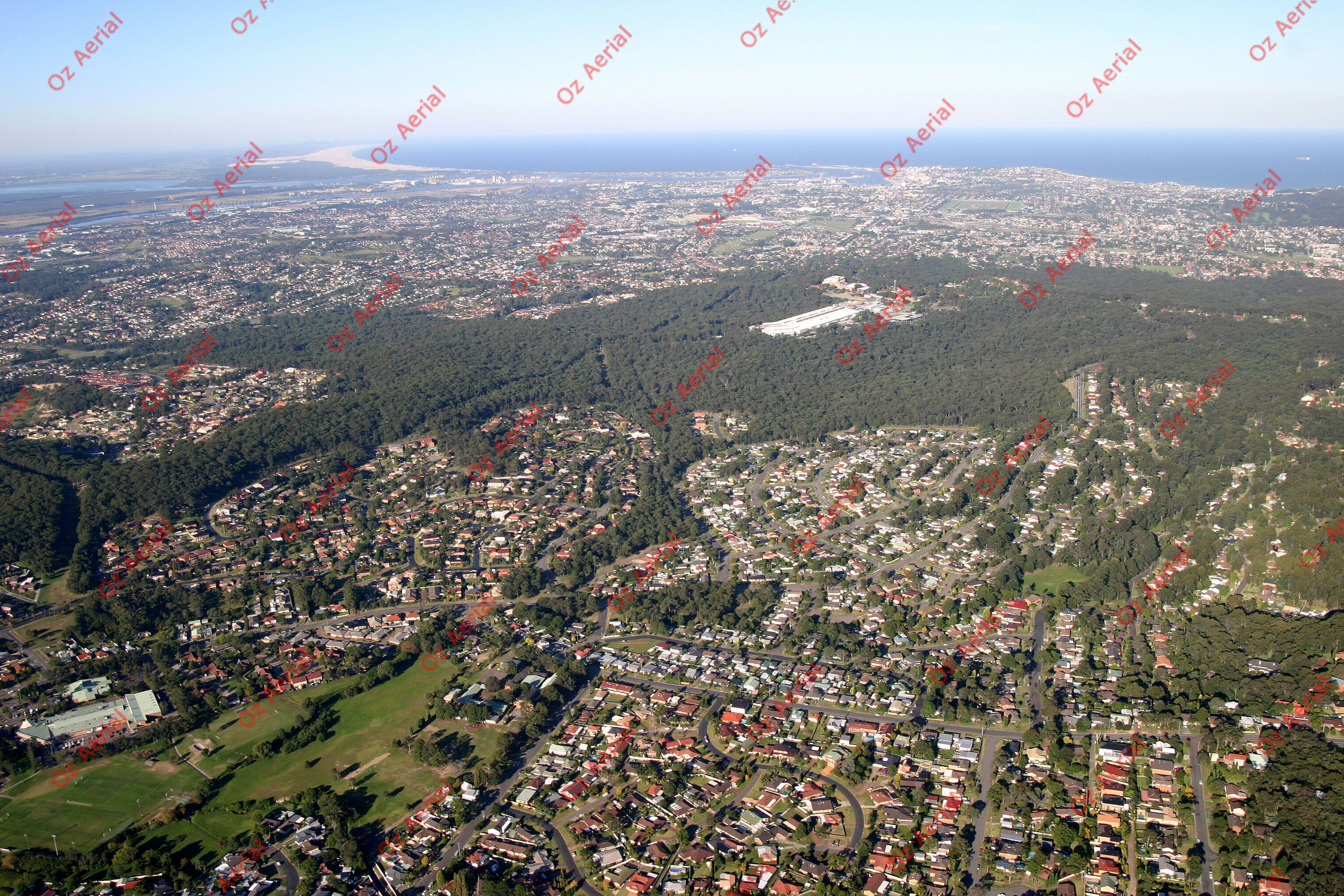 Rankin Park&nbsp;&nbsp;–&nbsp;&nbsp;256_5683.jpg