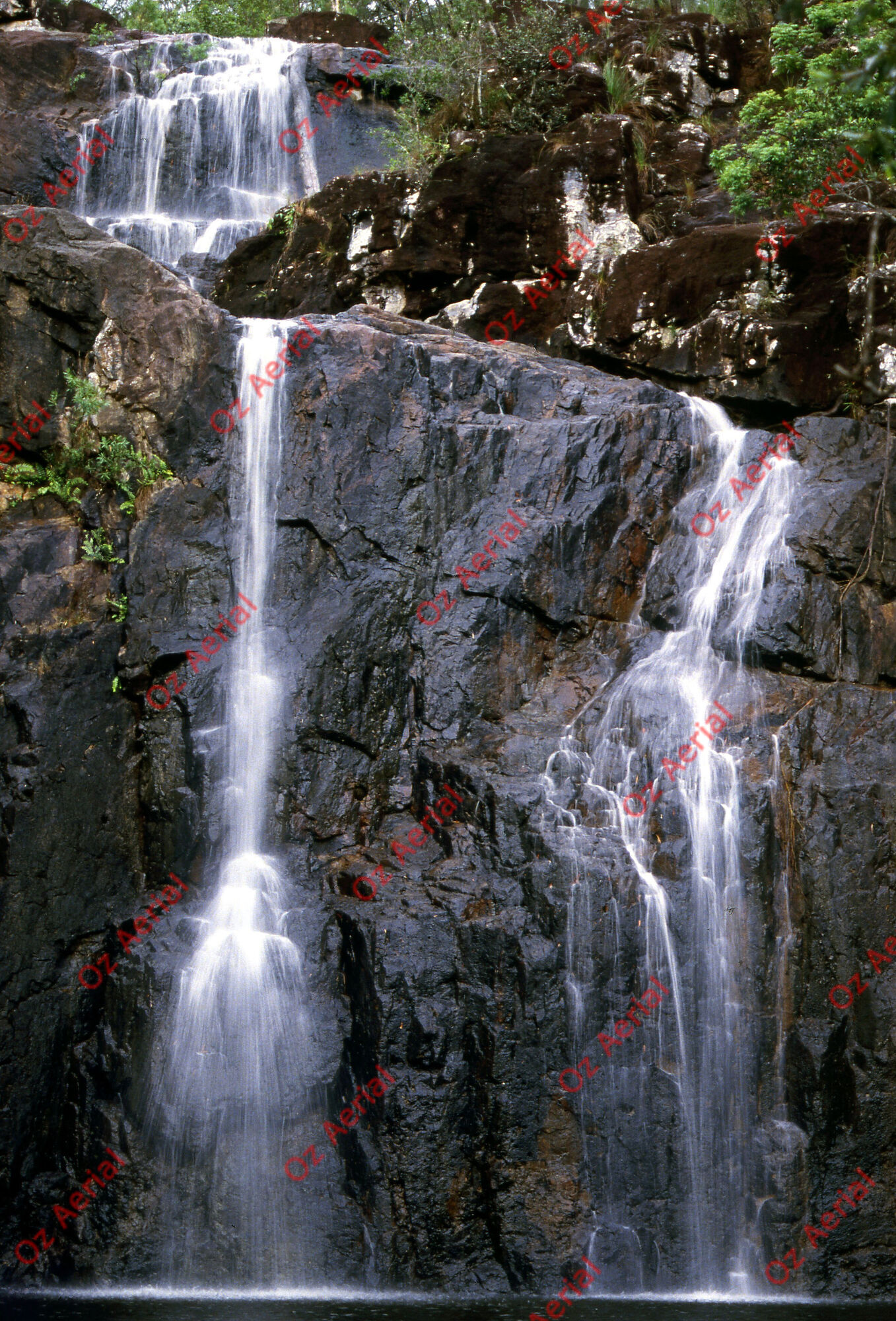 Rainforest to Reef&nbsp;&nbsp;–&nbsp;&nbsp;6095e0a8bc661_i31.jpg