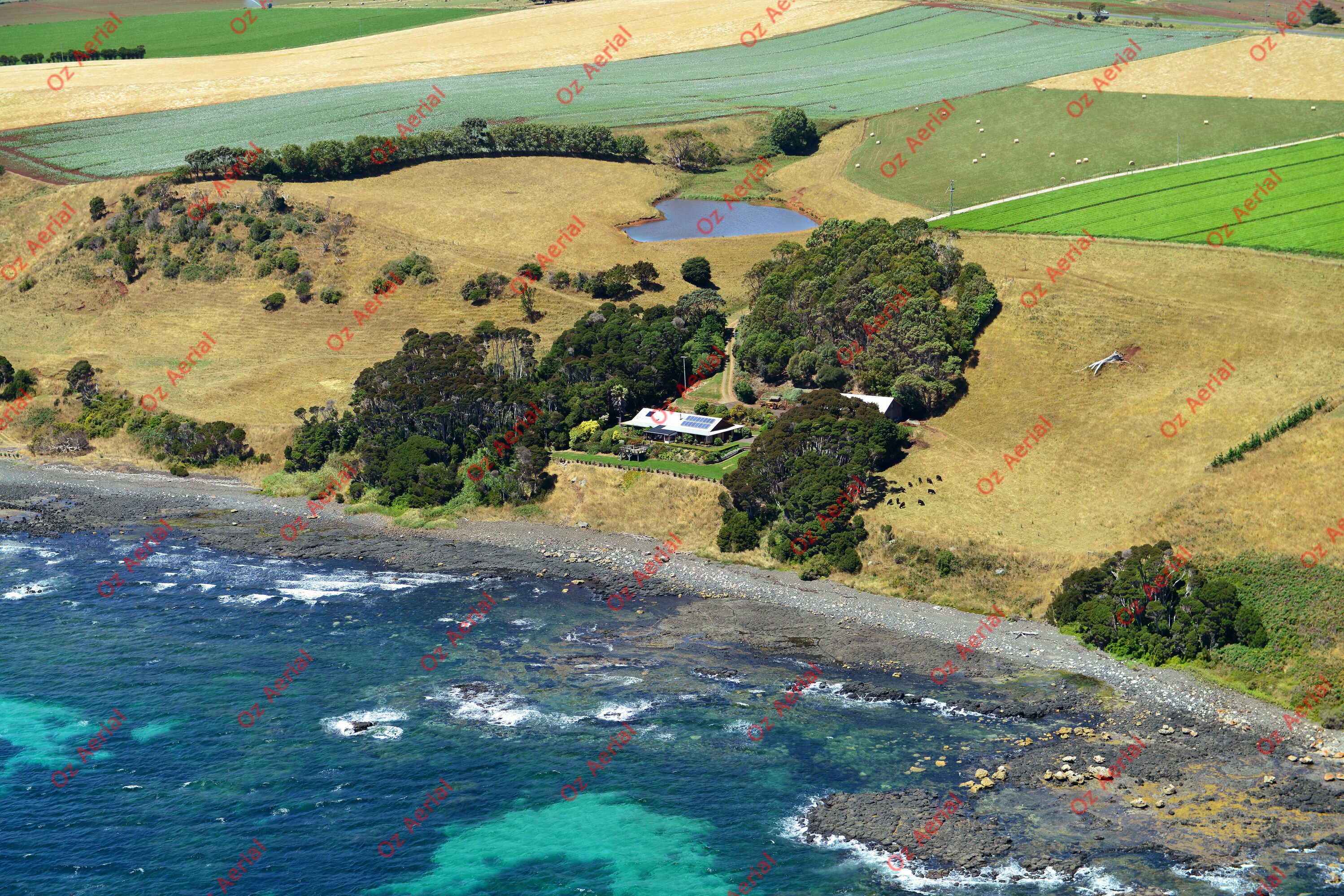 Table Cape&nbsp;&nbsp;–&nbsp;&nbsp;DSC_2758.JPG
