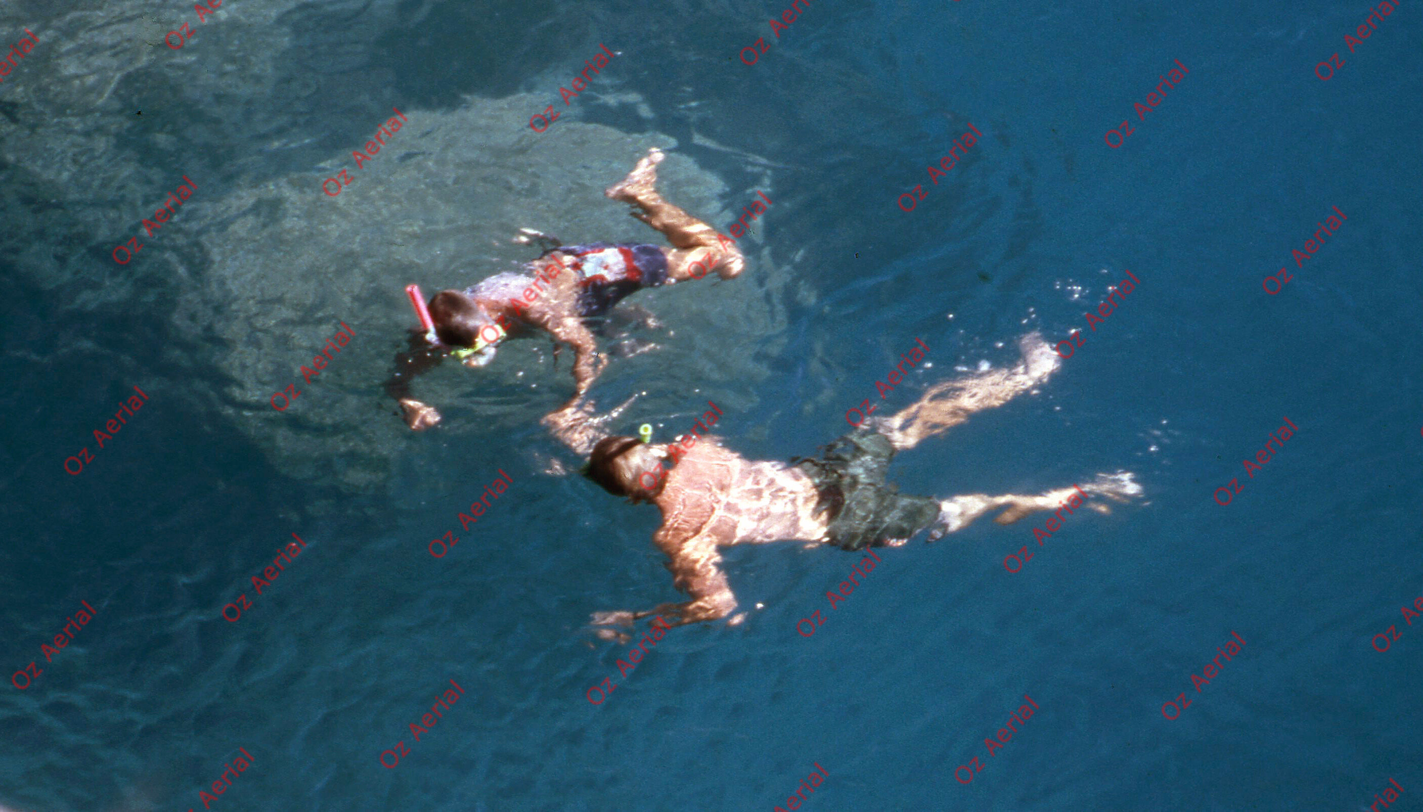 Something Fishy&nbsp;&nbsp;–&nbsp;&nbsp;6095ece0a837d_j59.jpg