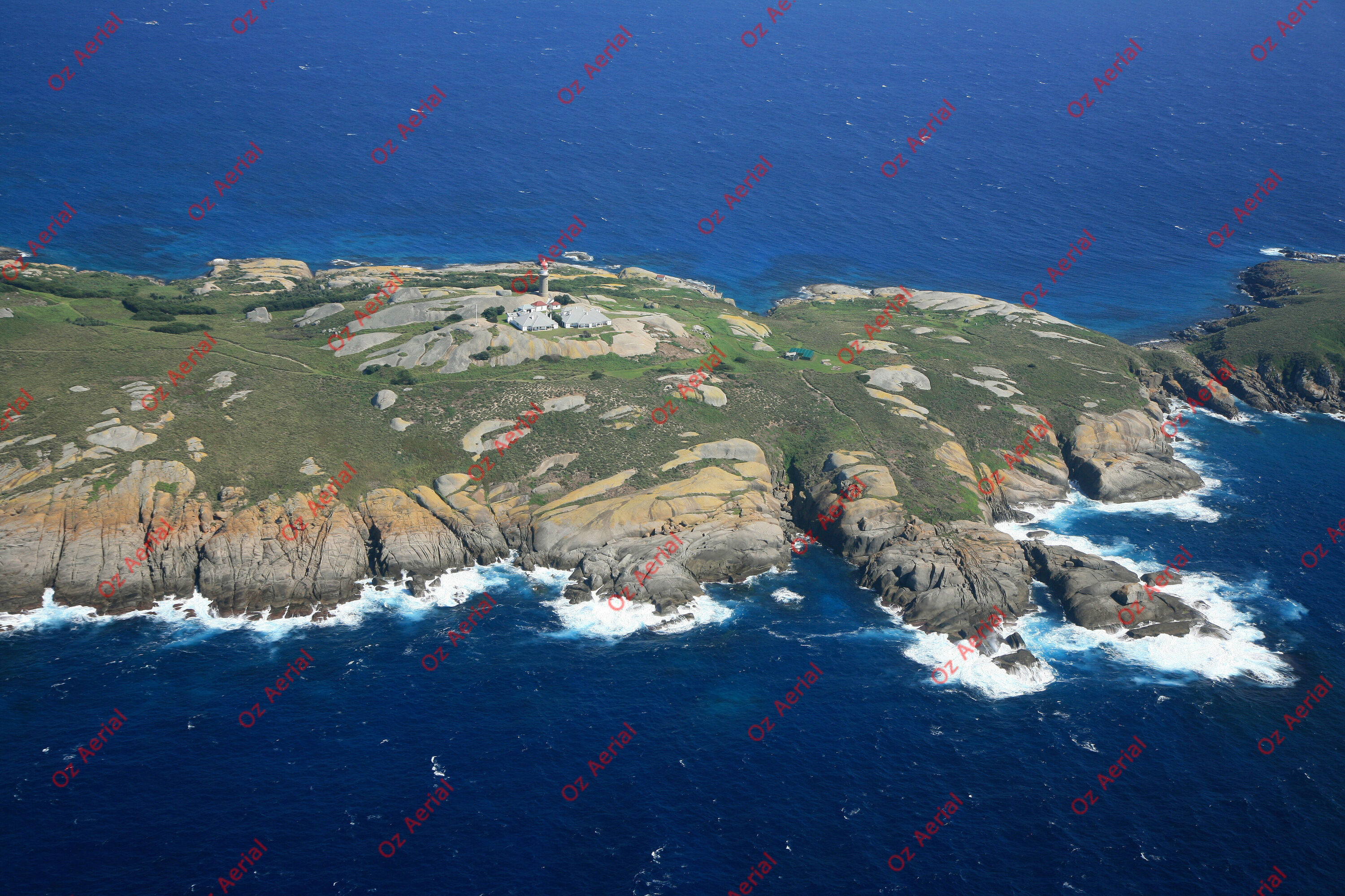 Montague Island&nbsp;&nbsp;–&nbsp;&nbsp;IMG_9817.JPG