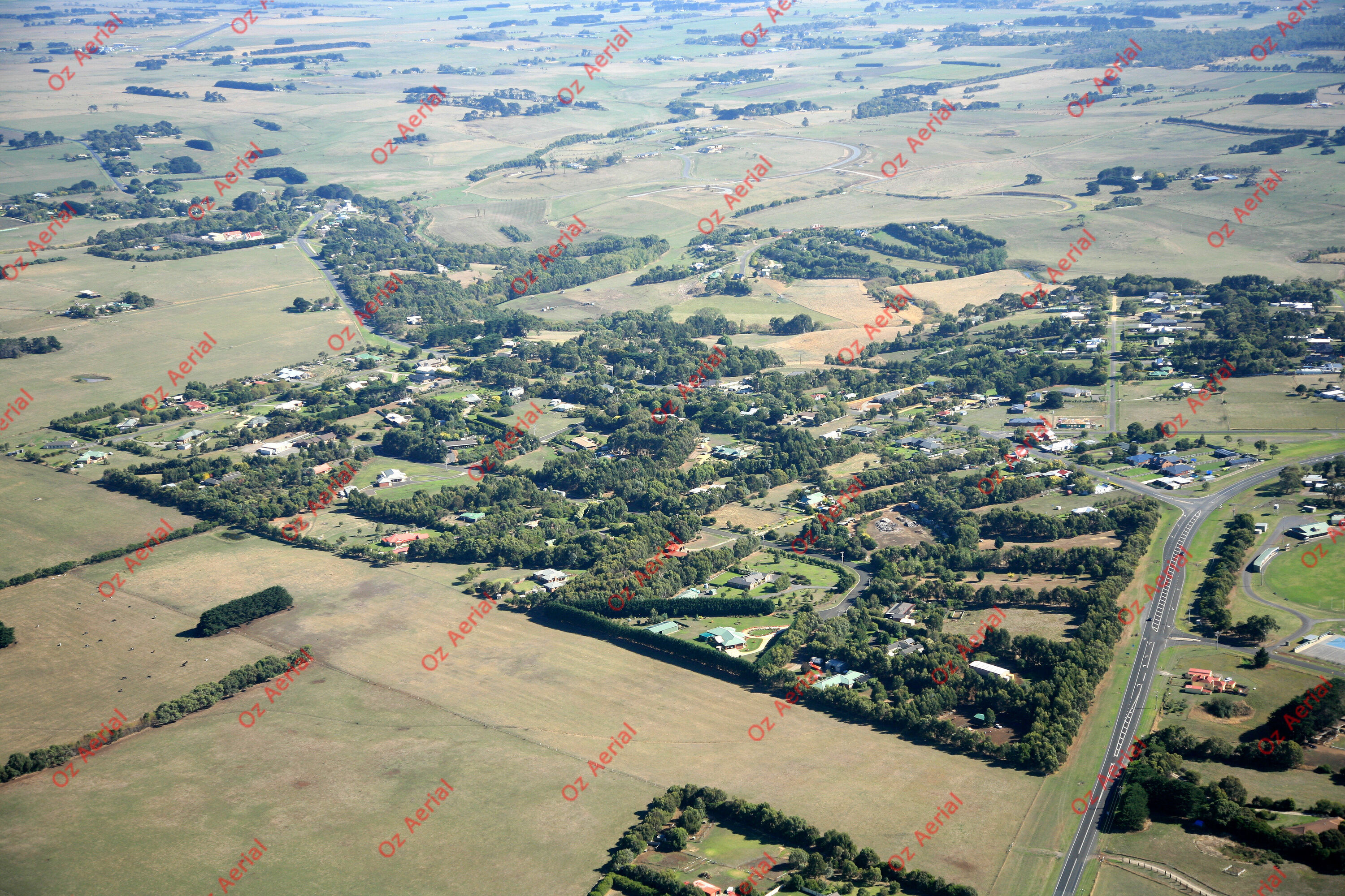 Bushfield&nbsp;&nbsp;–&nbsp;&nbsp;IMG_3087.JPG