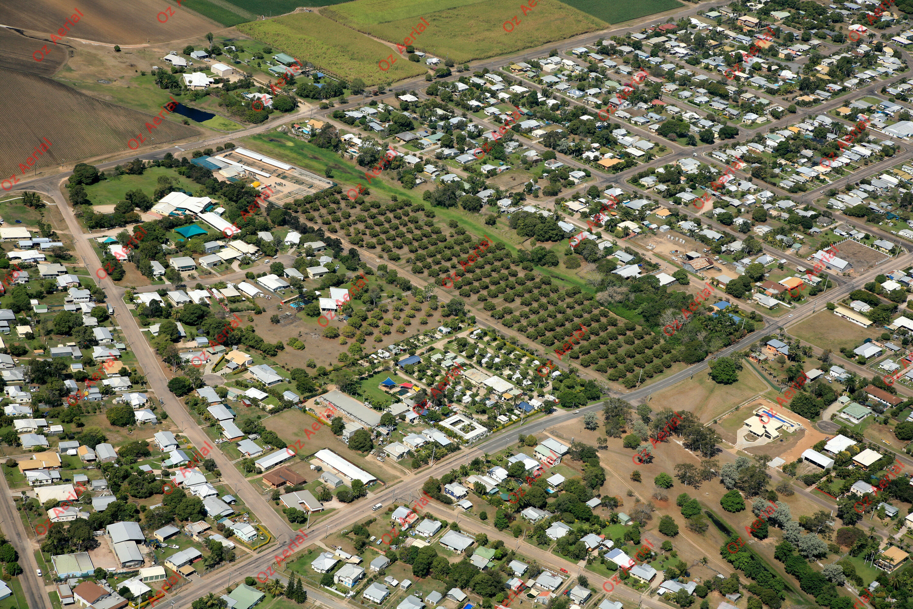 Ayr East  –  IMG_8299.JPG