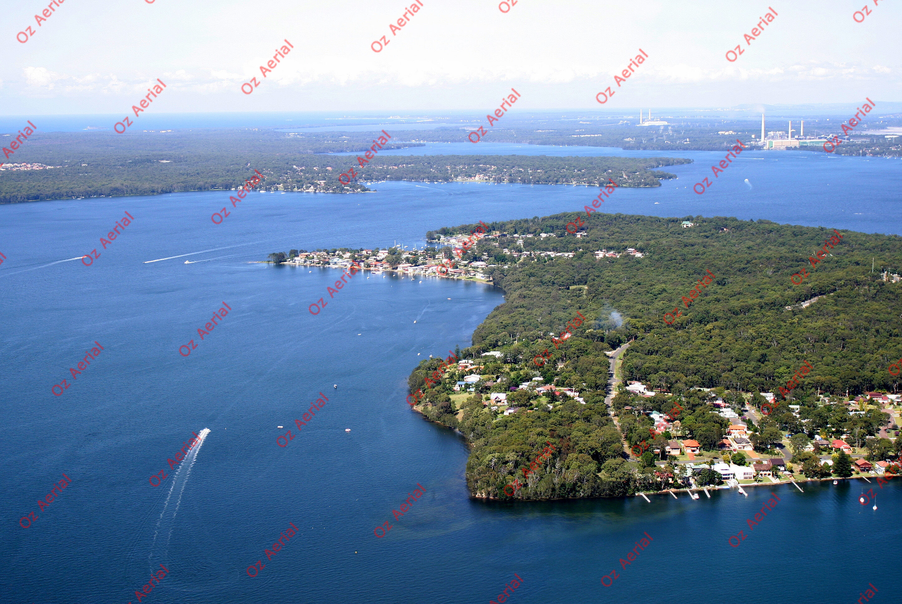 Balcolyn&nbsp;&nbsp;–&nbsp;&nbsp;246_4650.jpg