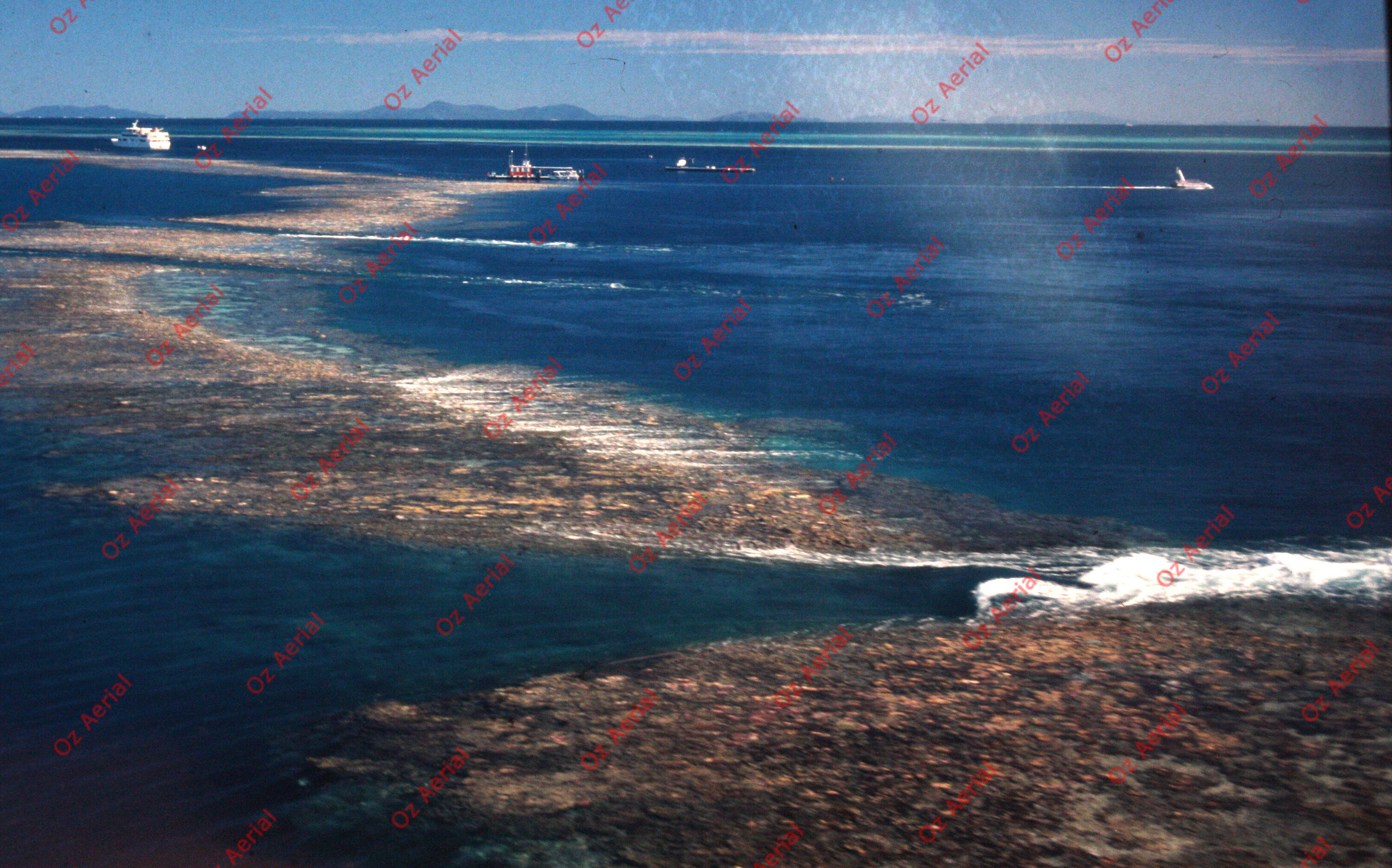 Rainforest to Reef&nbsp;&nbsp;–&nbsp;&nbsp;6095e0e3e7019_i86.JPG