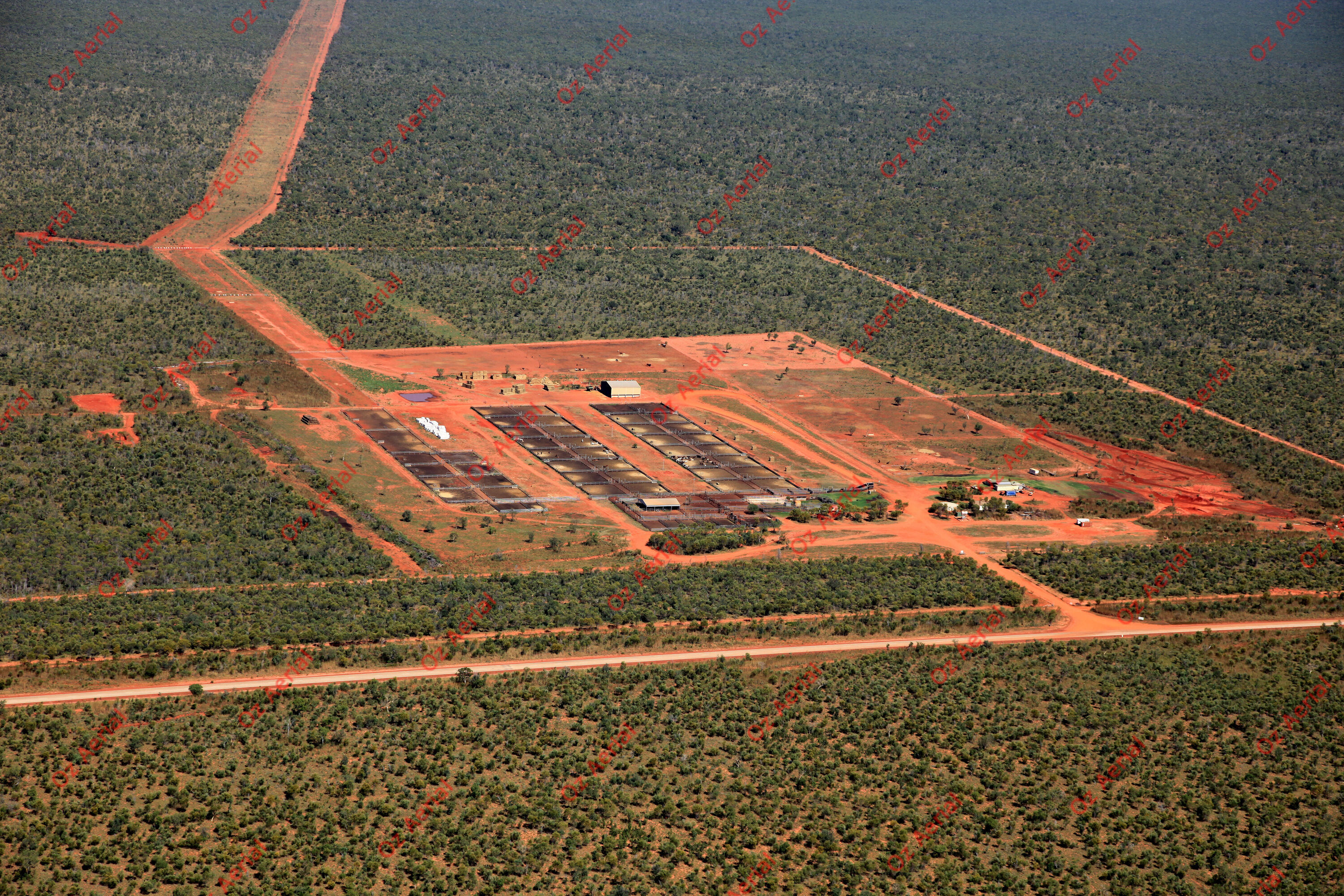 Roebuck Plains&nbsp;&nbsp;–&nbsp;&nbsp;IMG_3781.JPG
