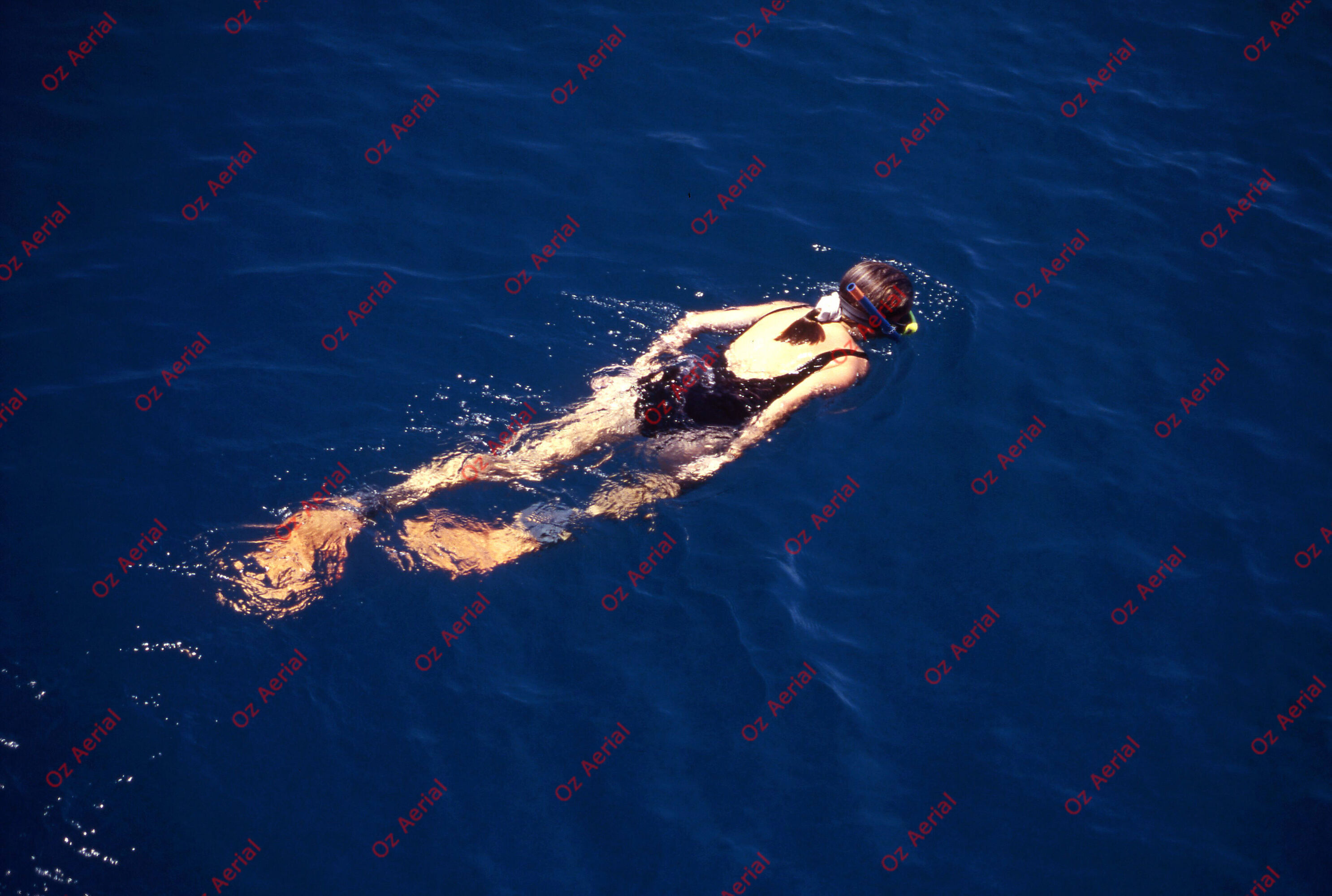 Something Fishy&nbsp;&nbsp;–&nbsp;&nbsp;6095ecf6049eb_j84.jpg