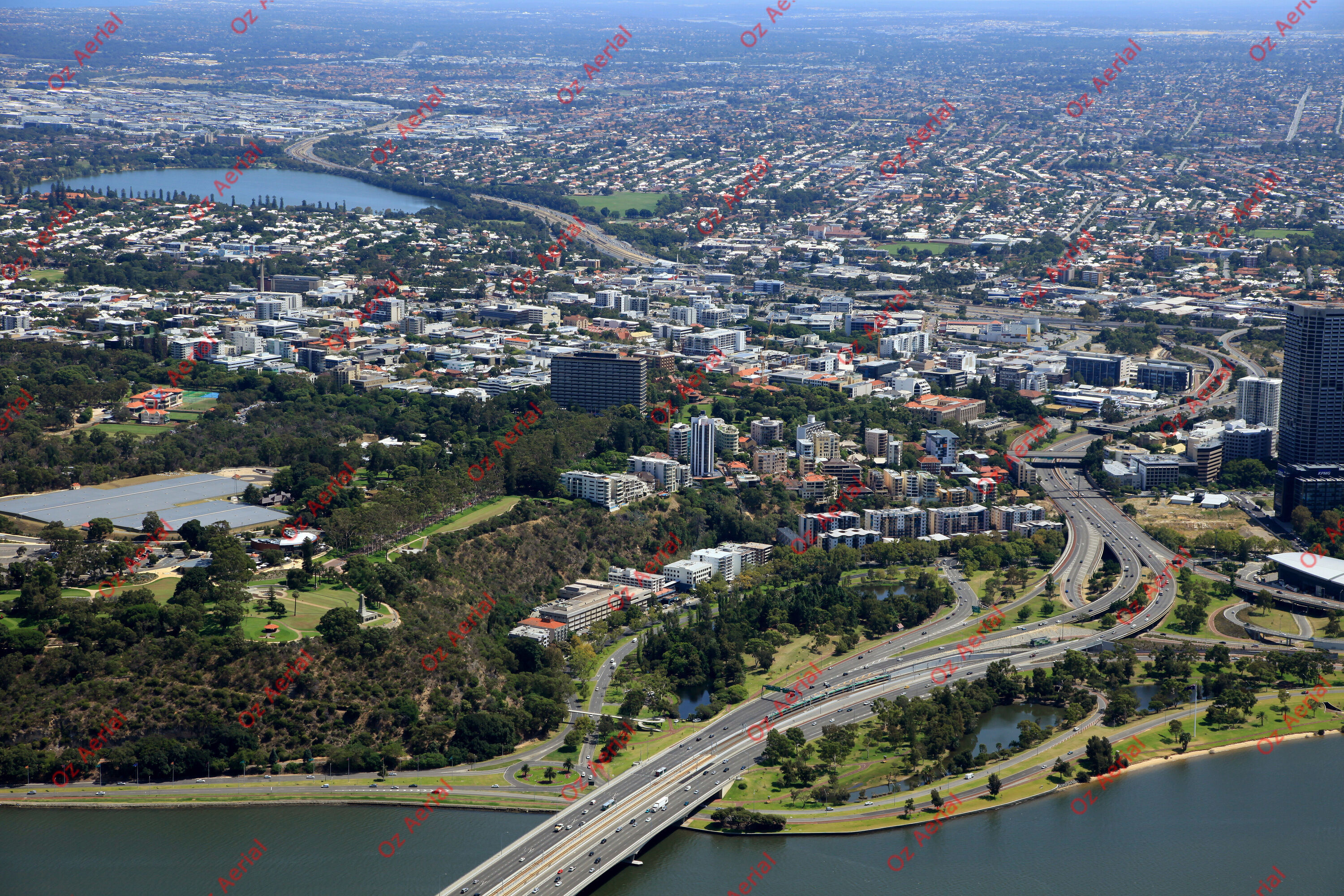 Kings Park&nbsp;&nbsp;–&nbsp;&nbsp;IMG_9624.JPG