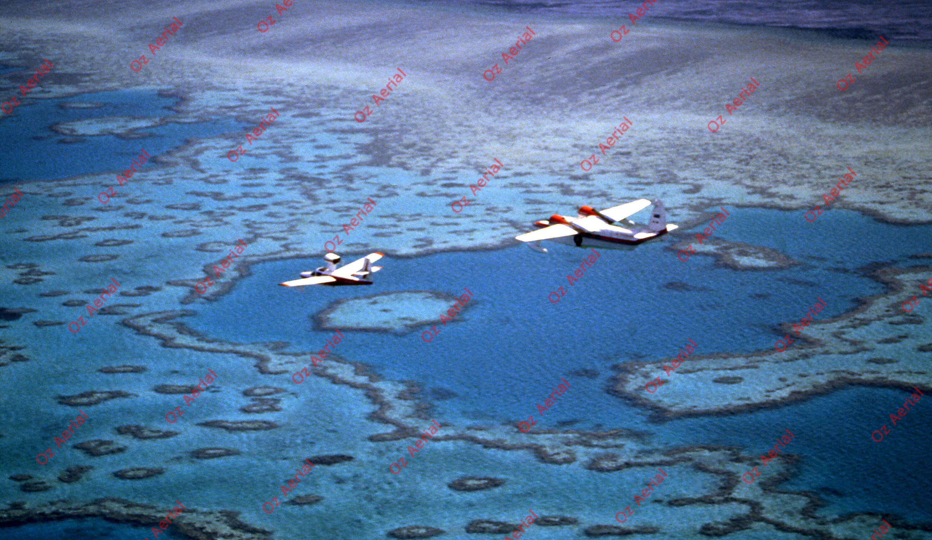 Rainforest to Reef&nbsp;&nbsp;–&nbsp;&nbsp;6095e0daba744_i79.jpg