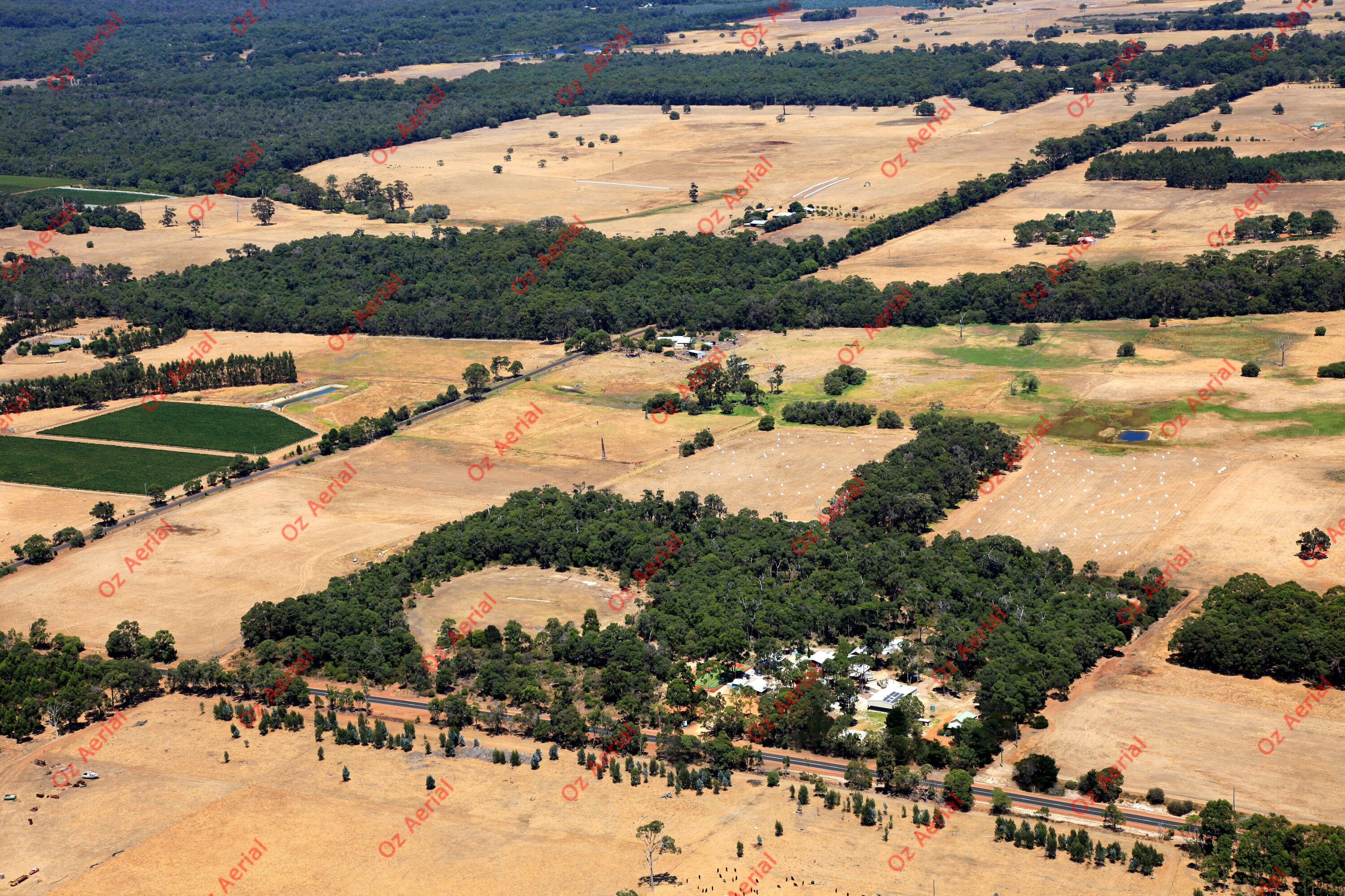 Forest Grove&nbsp;&nbsp;–&nbsp;&nbsp;IMG_8452.JPG