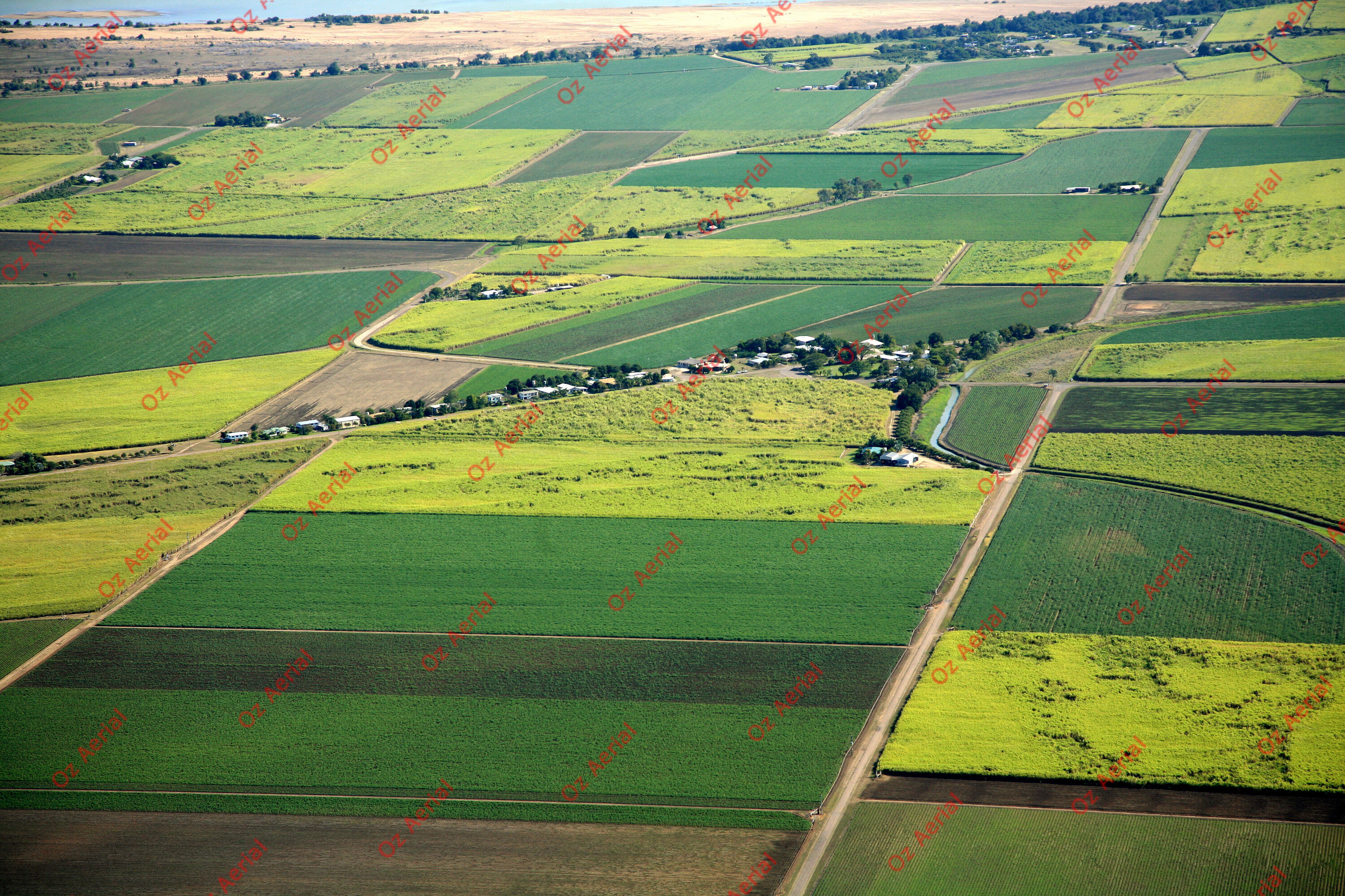 Jarvsfield  –  IMG_8488.JPG