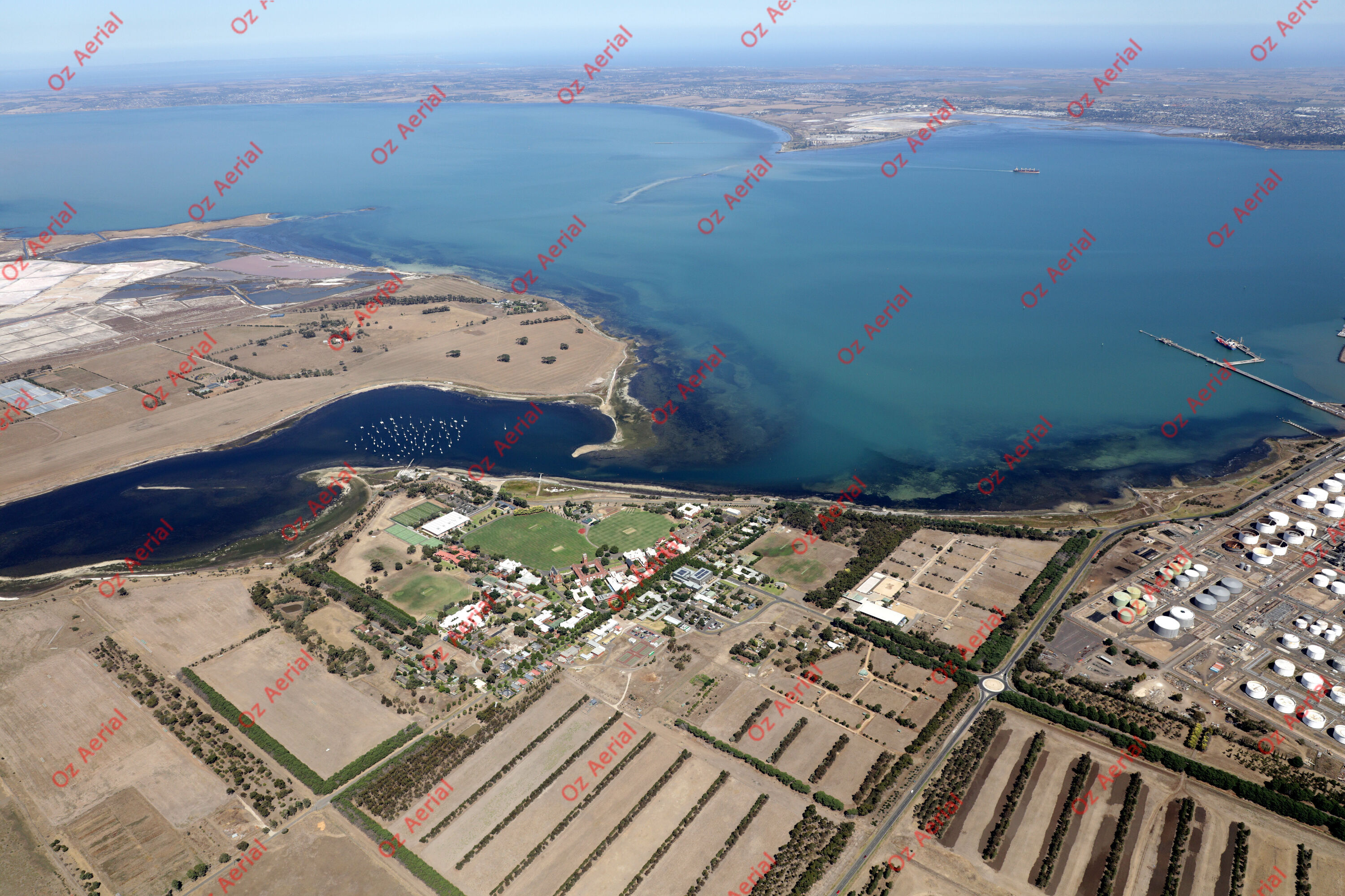 Corio&nbsp;&nbsp;–&nbsp;&nbsp;0I3A4321.JPG
