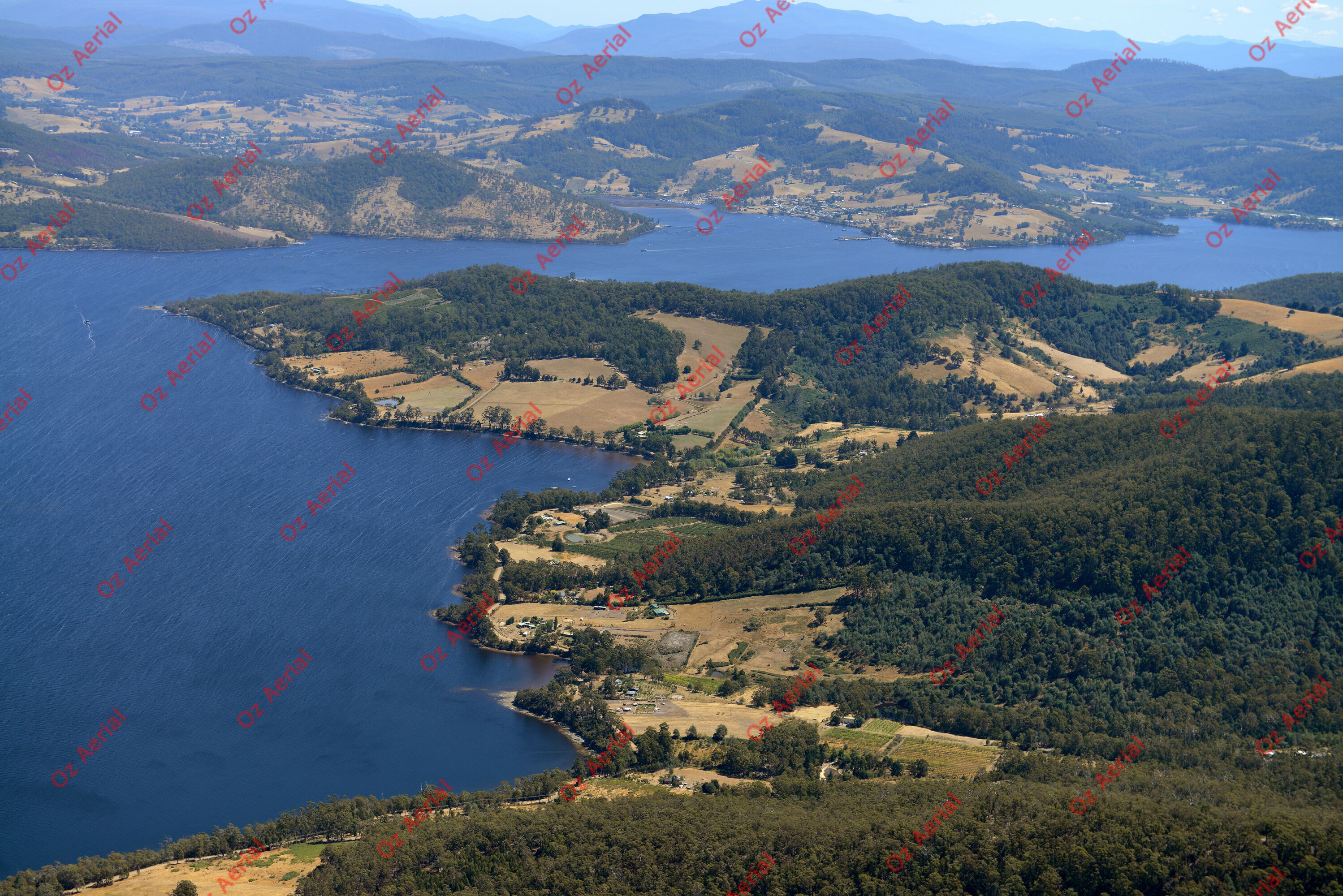 Petcheys Bay&nbsp;&nbsp;–&nbsp;&nbsp;DSC_4452.JPG