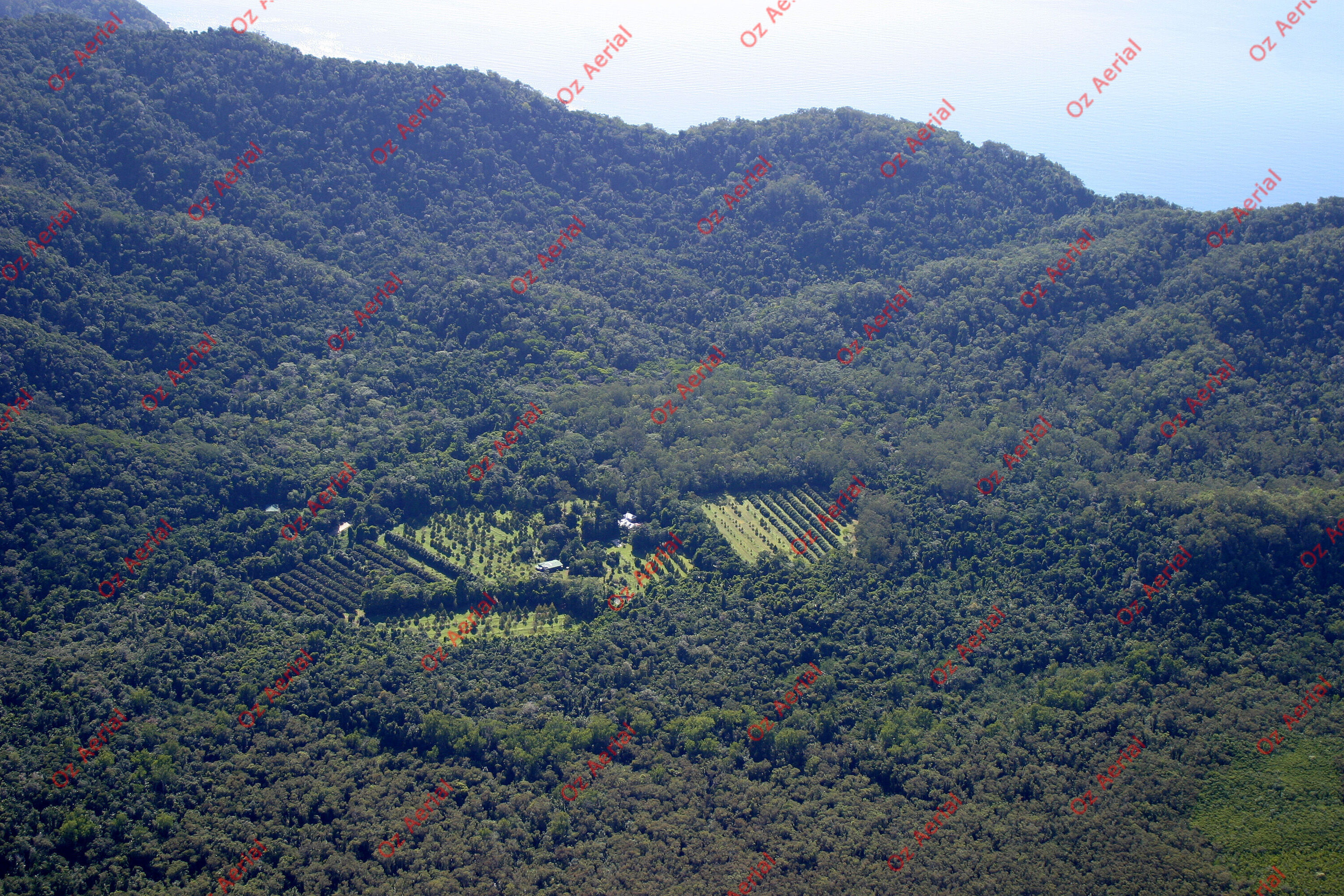 Doyle Creek&nbsp;&nbsp;–&nbsp;&nbsp;193_9347.jpg