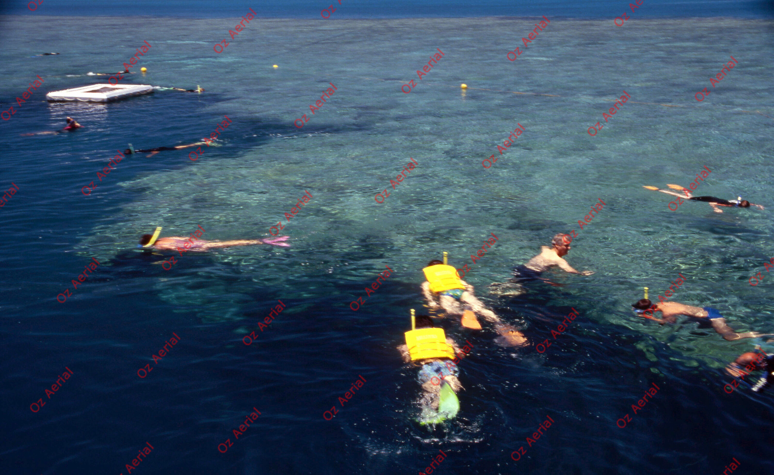 Rainforest to Reef&nbsp;&nbsp;–&nbsp;&nbsp;6095e0d98e05d_i77.jpg