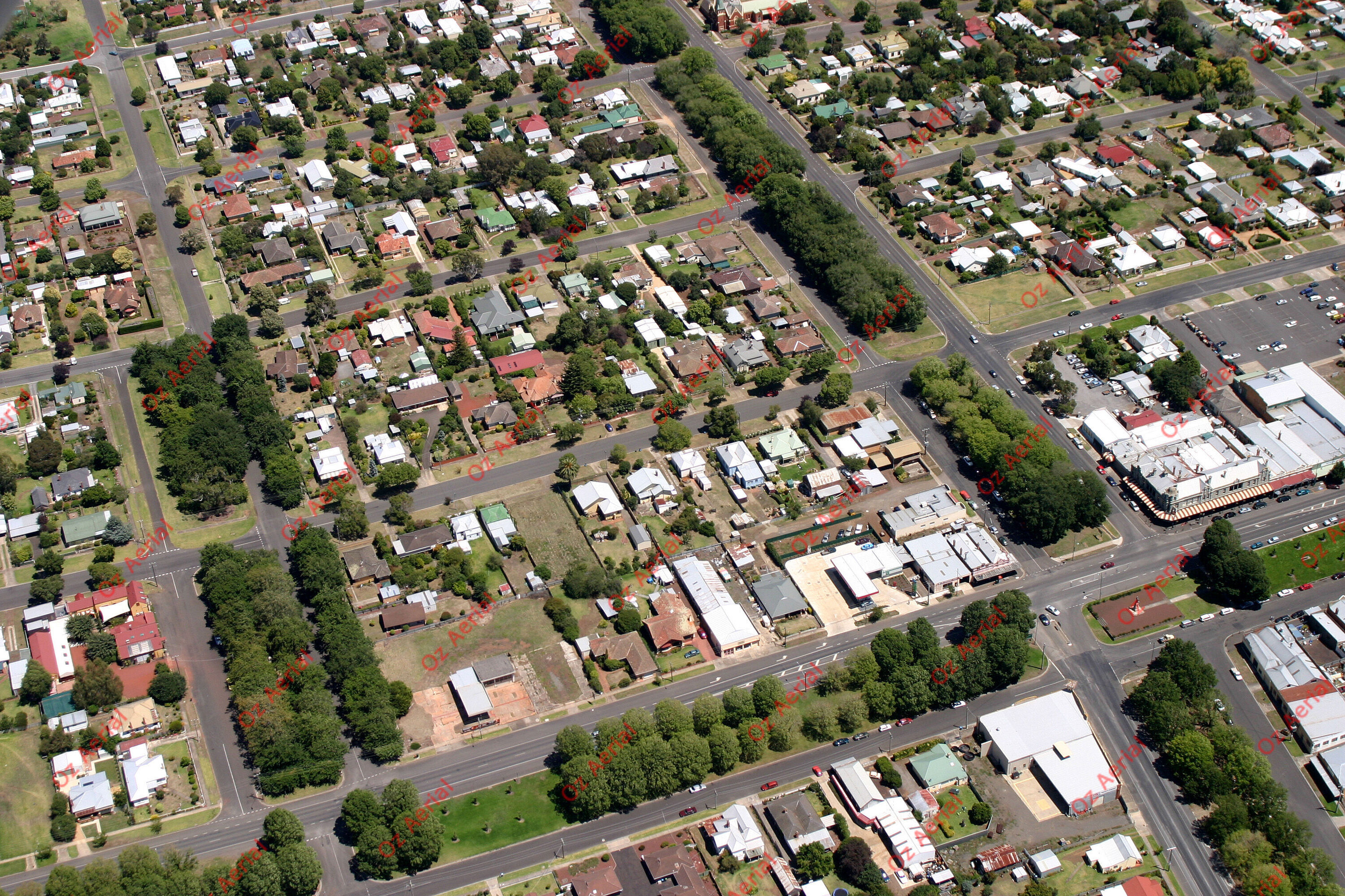 Camperdown&nbsp;&nbsp;–&nbsp;&nbsp;341_4101.JPG