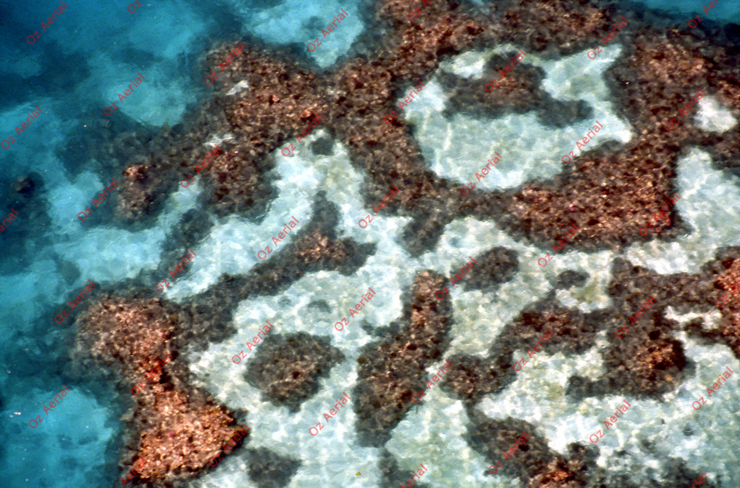 Rainforest to Reef&nbsp;&nbsp;–&nbsp;&nbsp;6095e0eb8f76d_i91.jpg