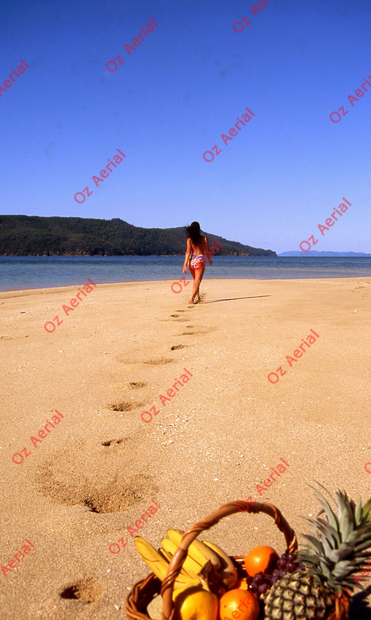 Fun in the Sun&nbsp;&nbsp;–&nbsp;&nbsp;6095d86477433_f08.jpg