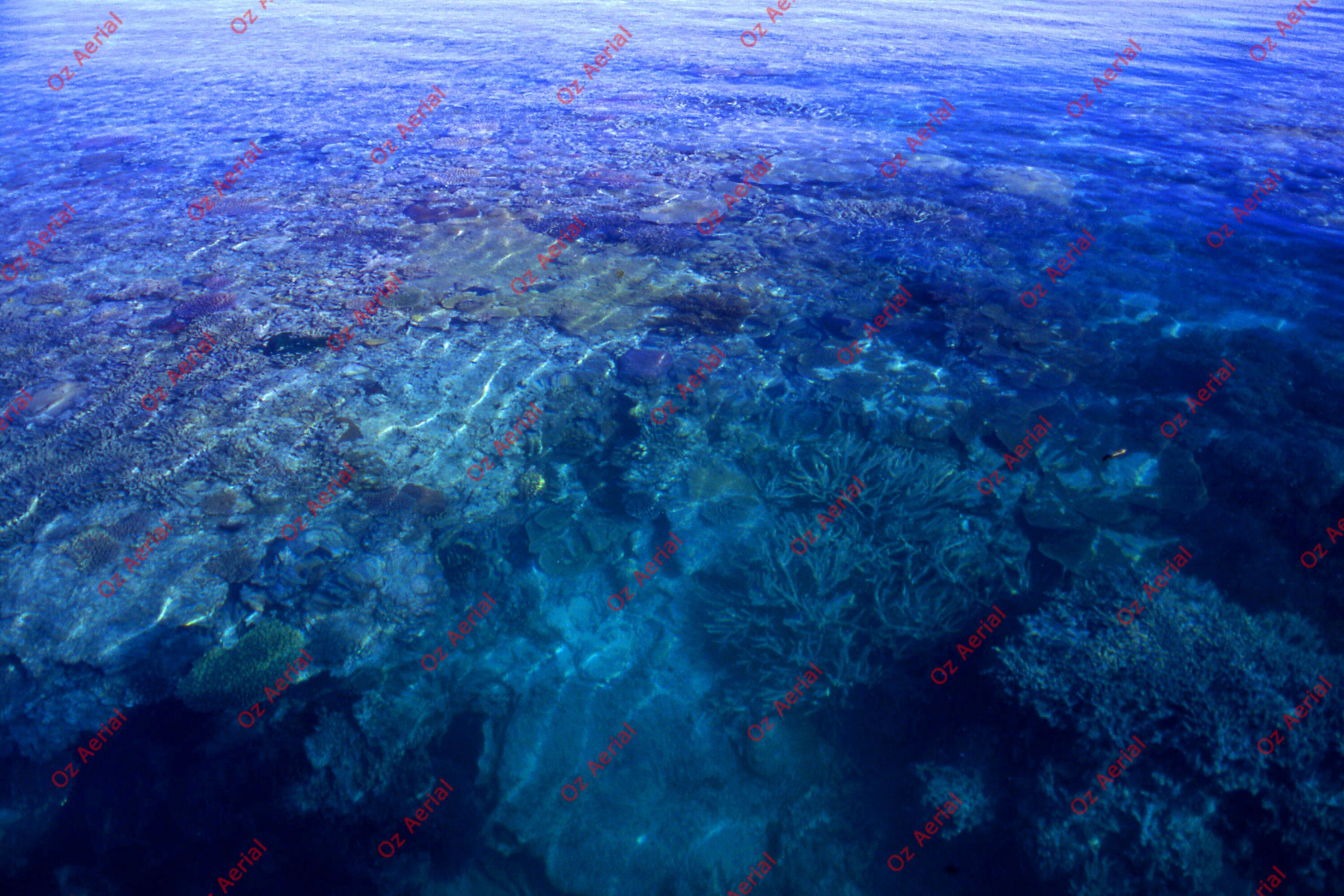 Rainforest to Reef&nbsp;&nbsp;–&nbsp;&nbsp;6095e0cbc7245_i64.jpg