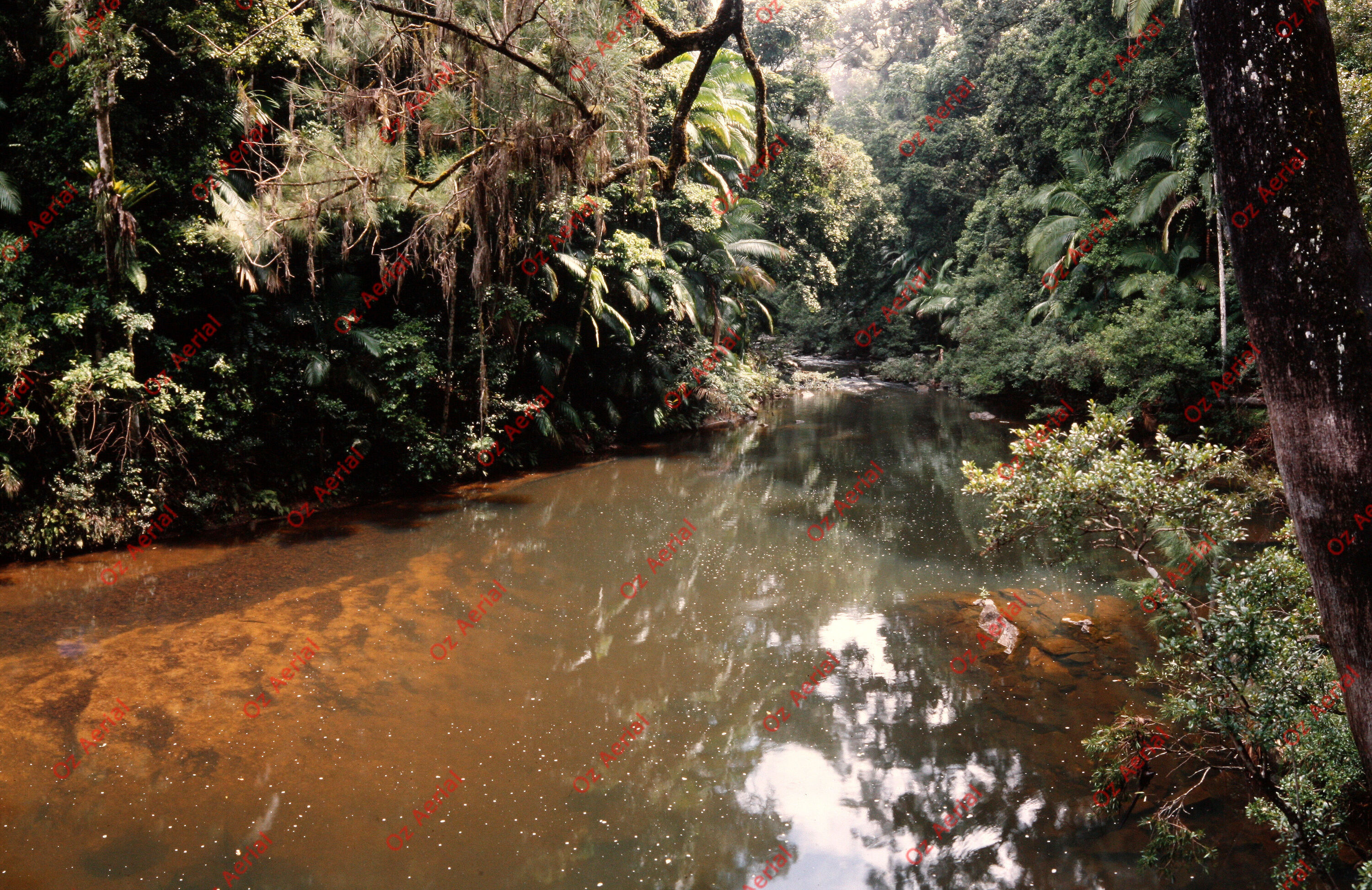 Rainforest to Reef&nbsp;&nbsp;–&nbsp;&nbsp;6095e0bf44318_i47.JPG