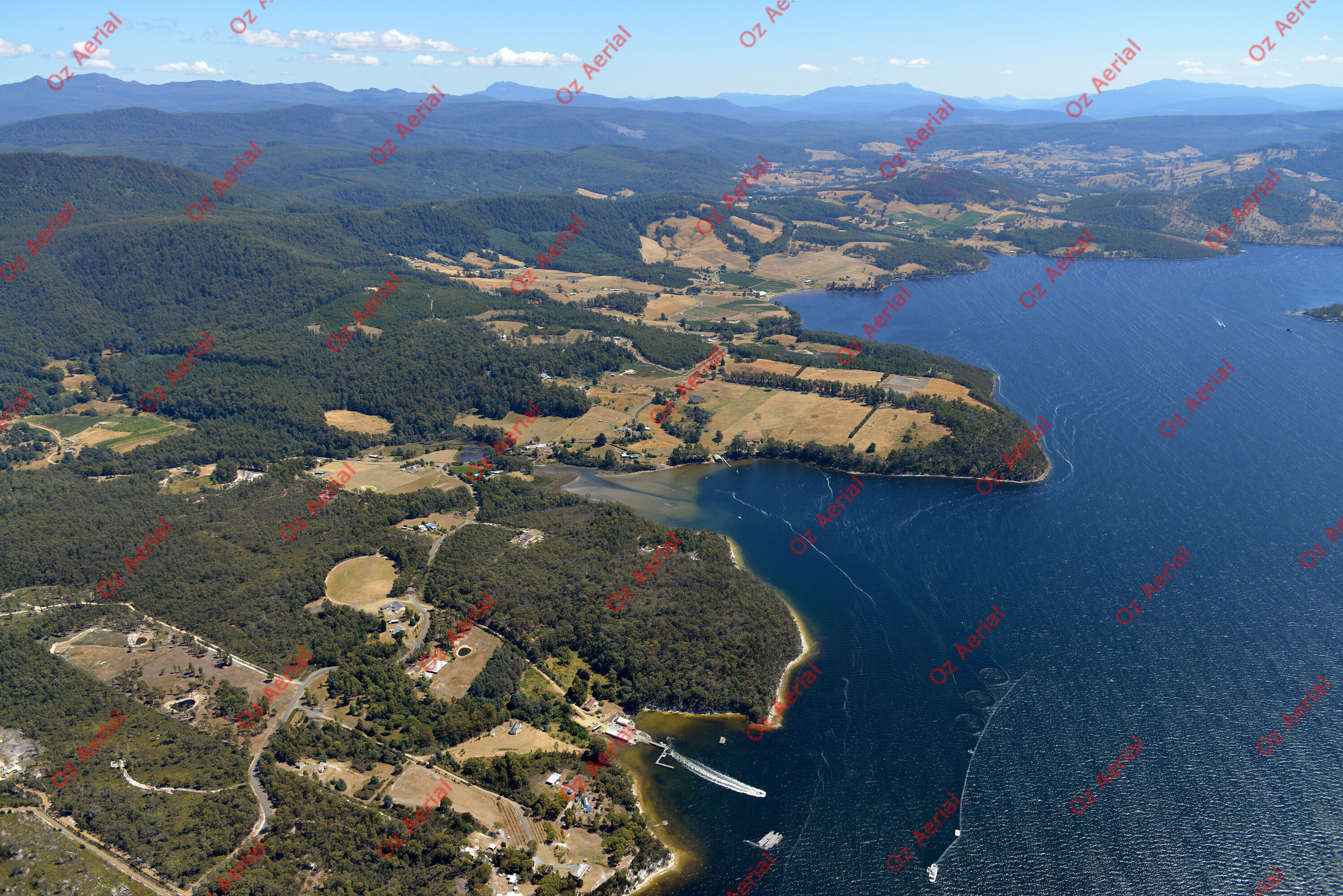 Surges Bay&nbsp;&nbsp;–&nbsp;&nbsp;DSC_4501.JPG