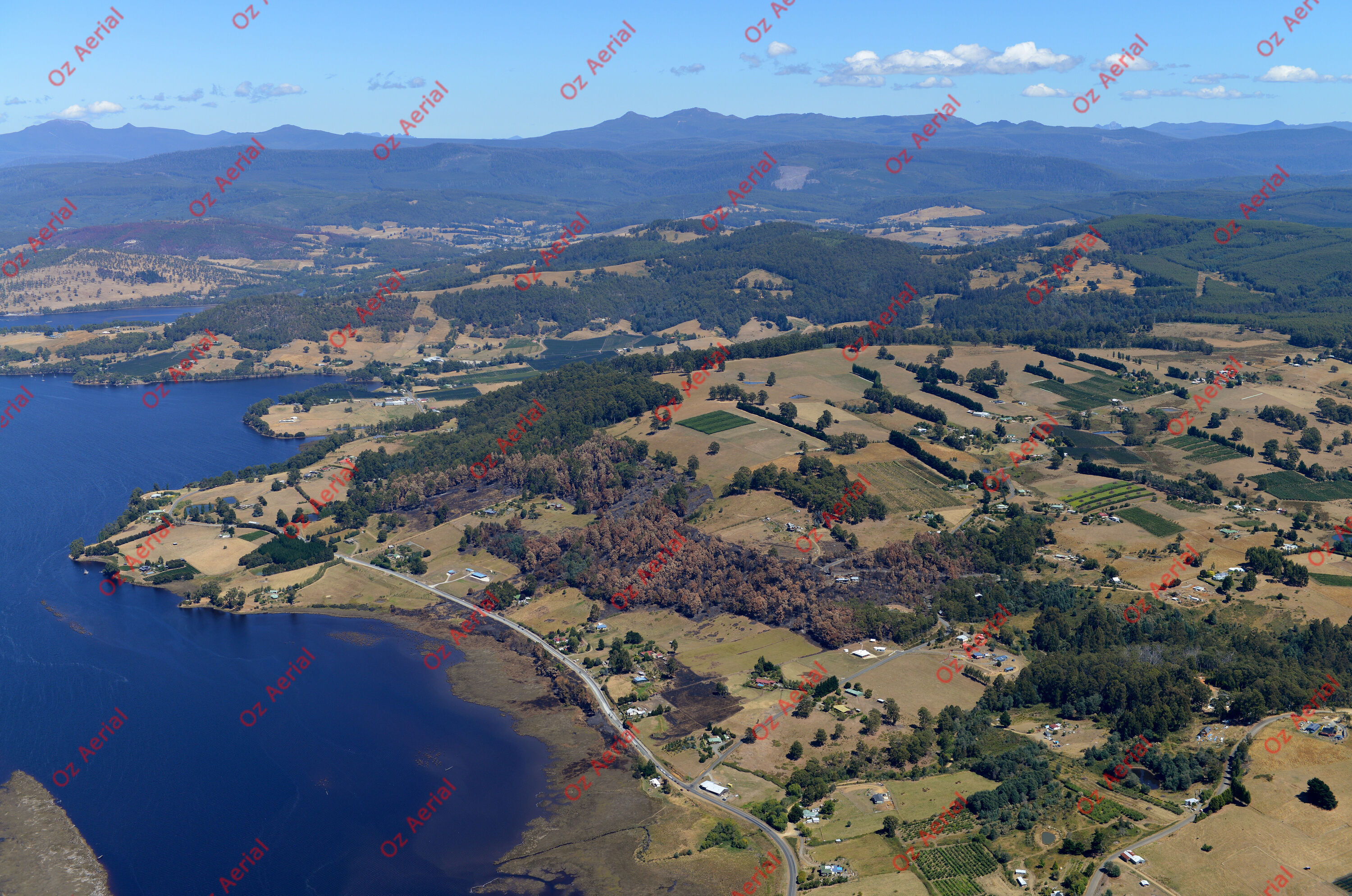 Franklin&nbsp;&nbsp;–&nbsp;&nbsp;DSC_4485.JPG