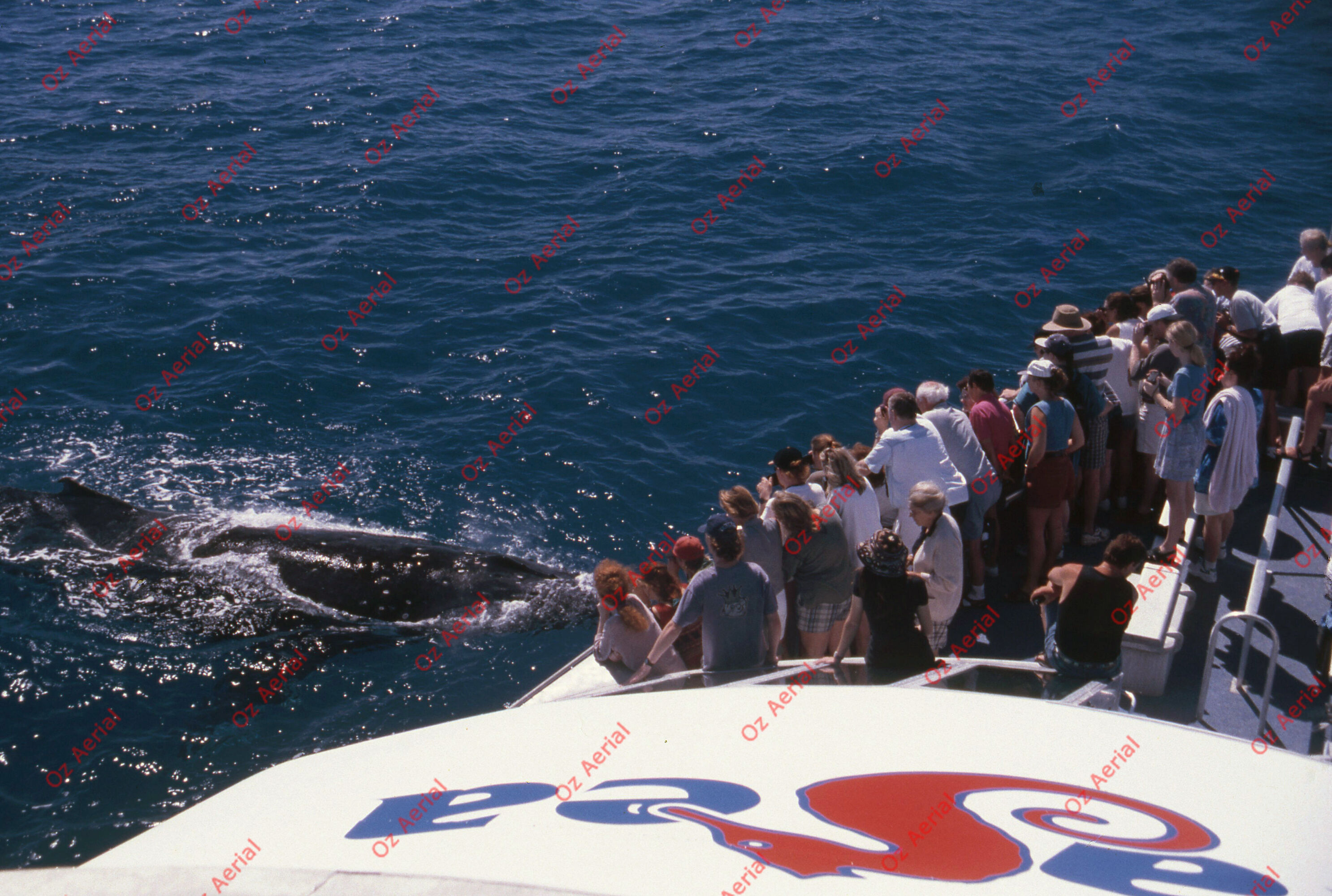 Airlie Beach&nbsp;&nbsp;–&nbsp;&nbsp;6094b73c91b50_a54.jpg