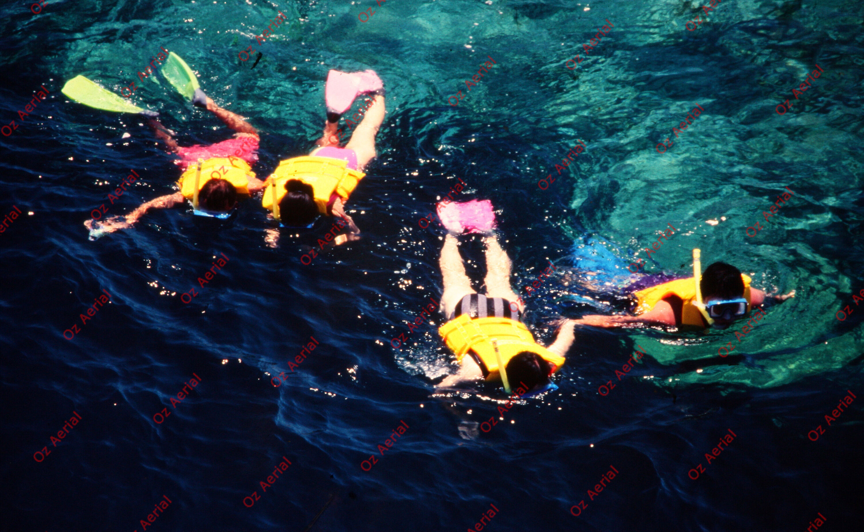 Rainforest to Reef&nbsp;&nbsp;–&nbsp;&nbsp;6095e0d04a875_i67.JPG