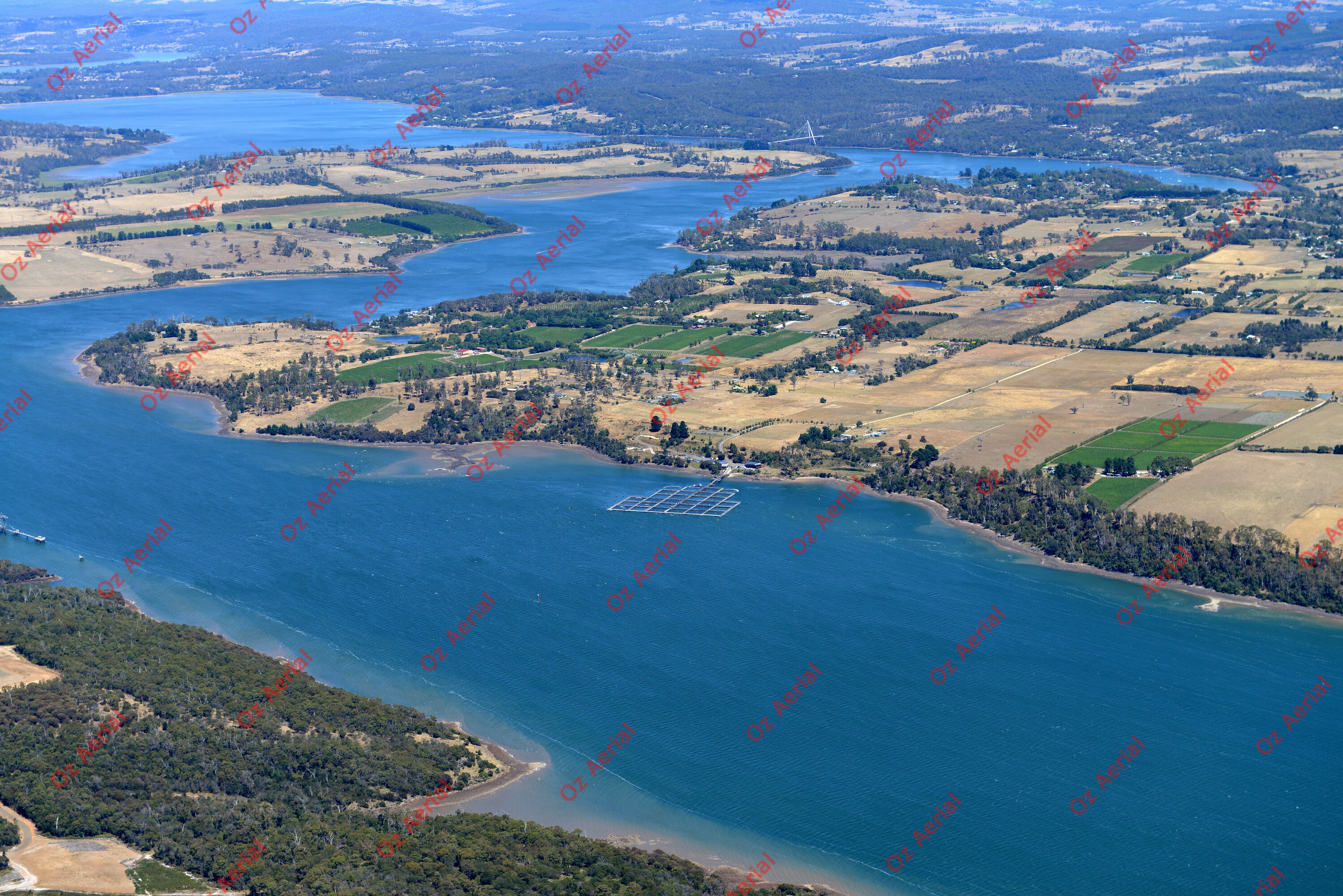 Rowella&nbsp;&nbsp;–&nbsp;&nbsp;DSC_3914.JPG