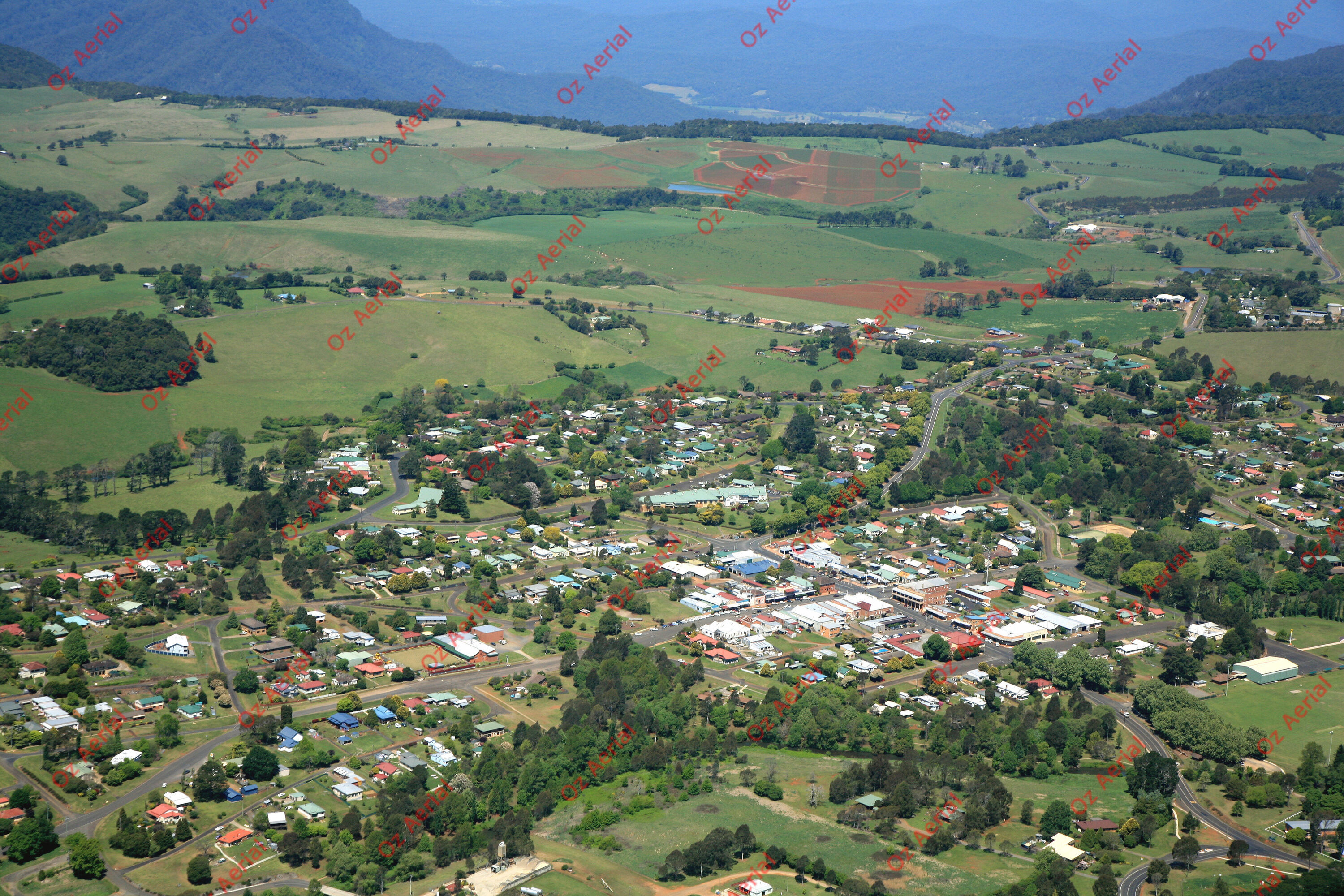 Dorrigo&nbsp;&nbsp;–&nbsp;&nbsp;IMG_5807.JPG