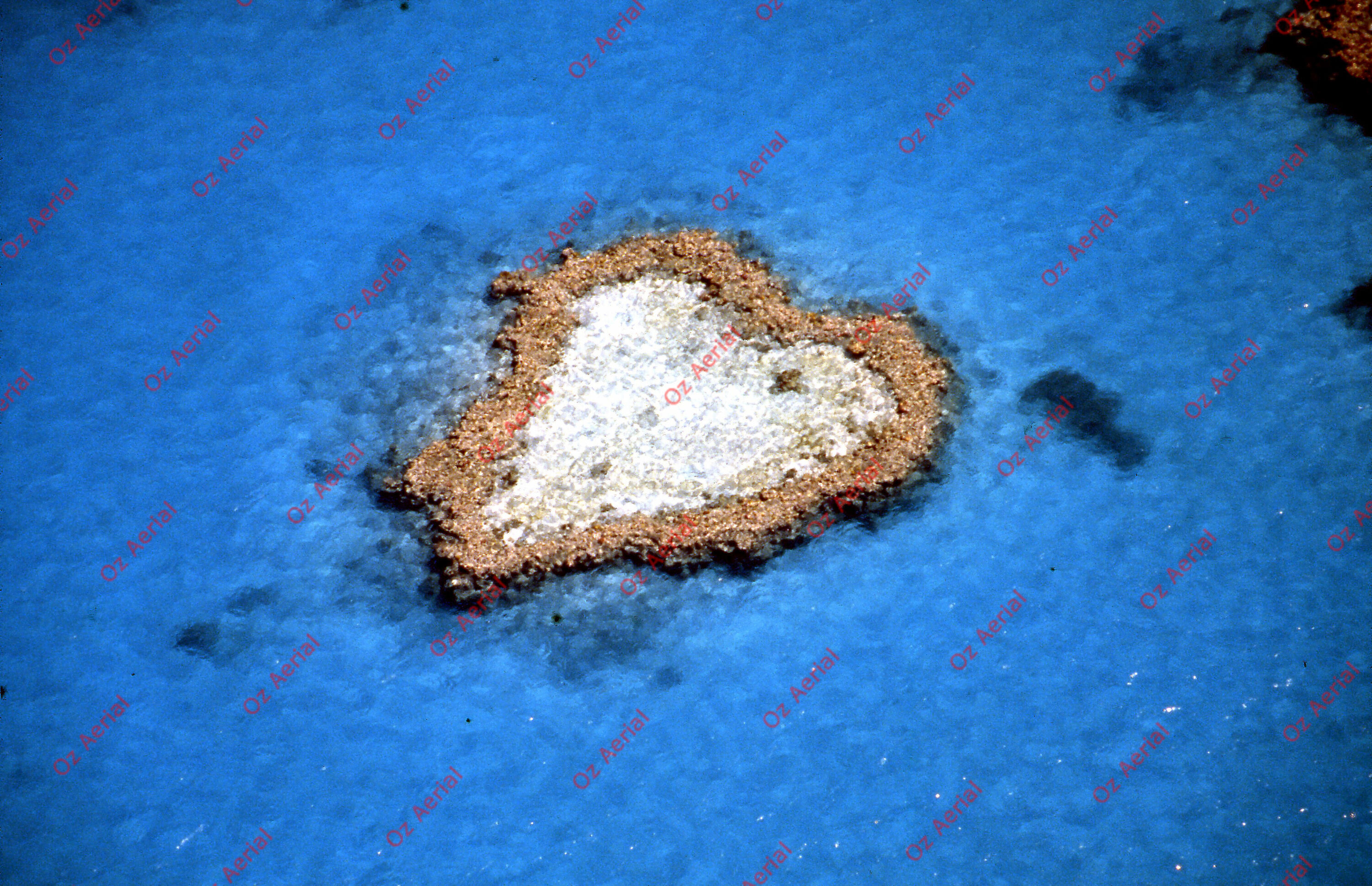 Rainforest to Reef&nbsp;&nbsp;–&nbsp;&nbsp;6095e0c82103c_i58.jpg