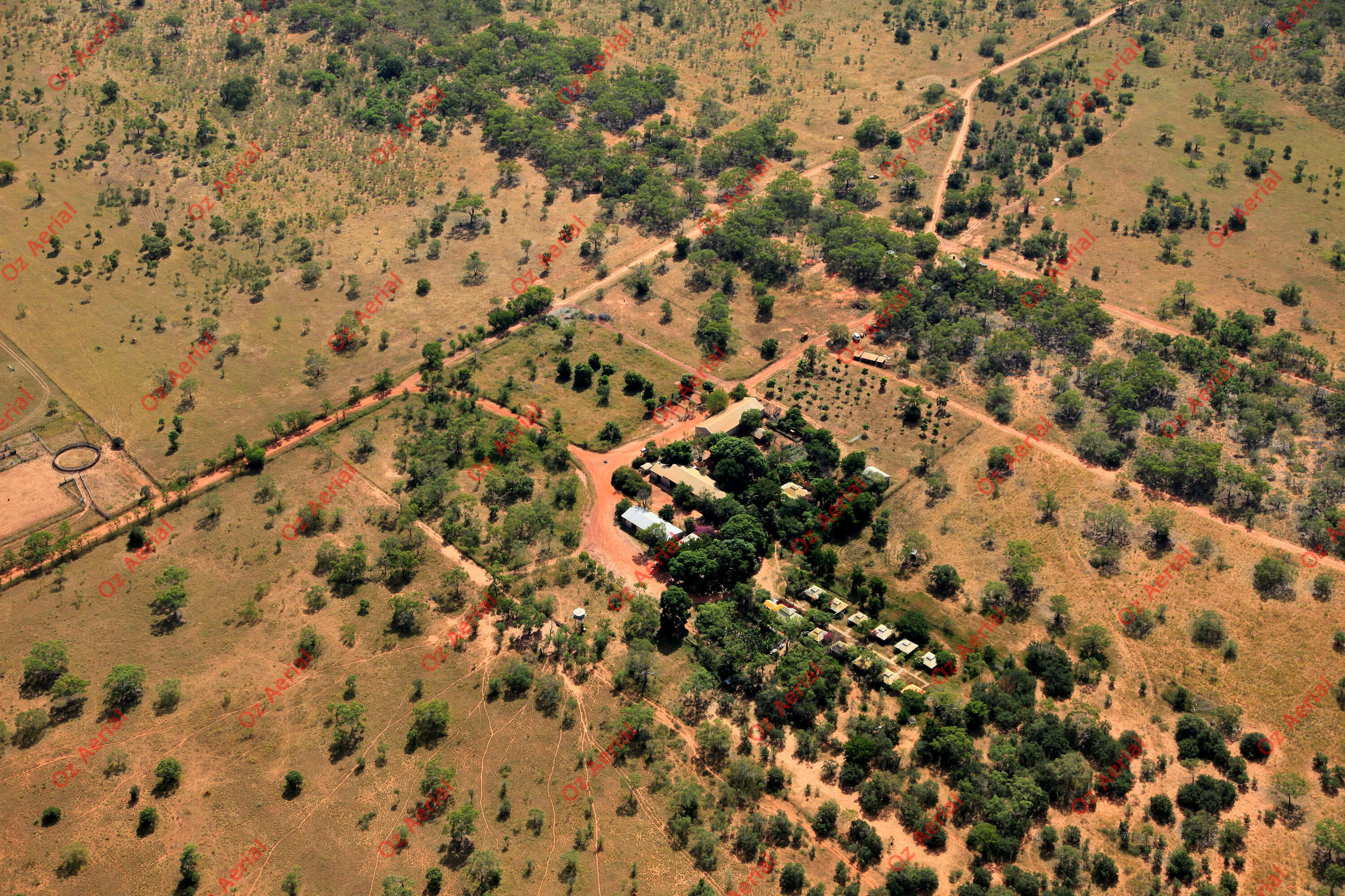 Birdwood Downs&nbsp;&nbsp;–&nbsp;&nbsp;IMG_4134.JPG