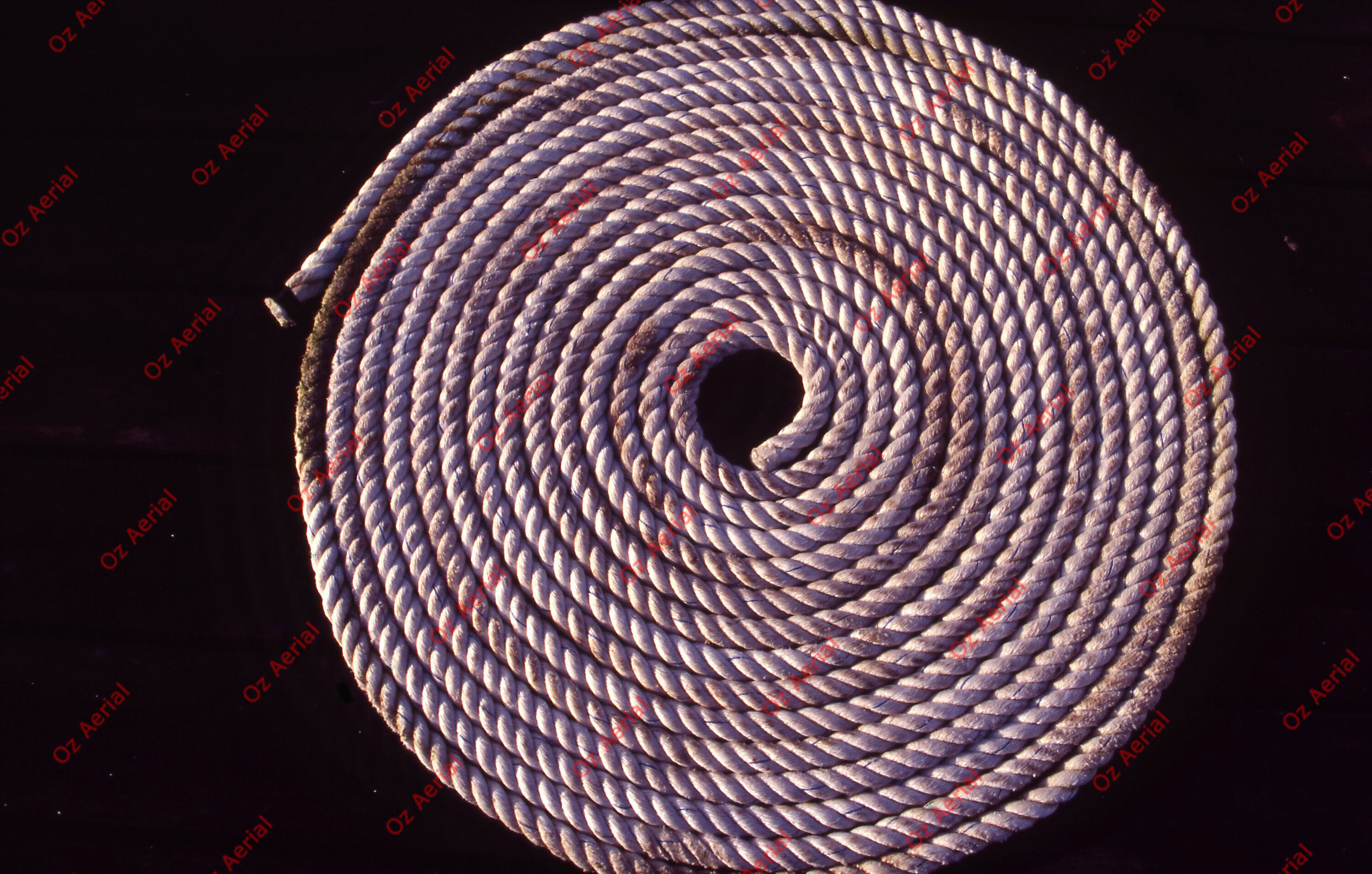 Something Fishy&nbsp;&nbsp;–&nbsp;&nbsp;6095ecbc2ee42_j16.jpg