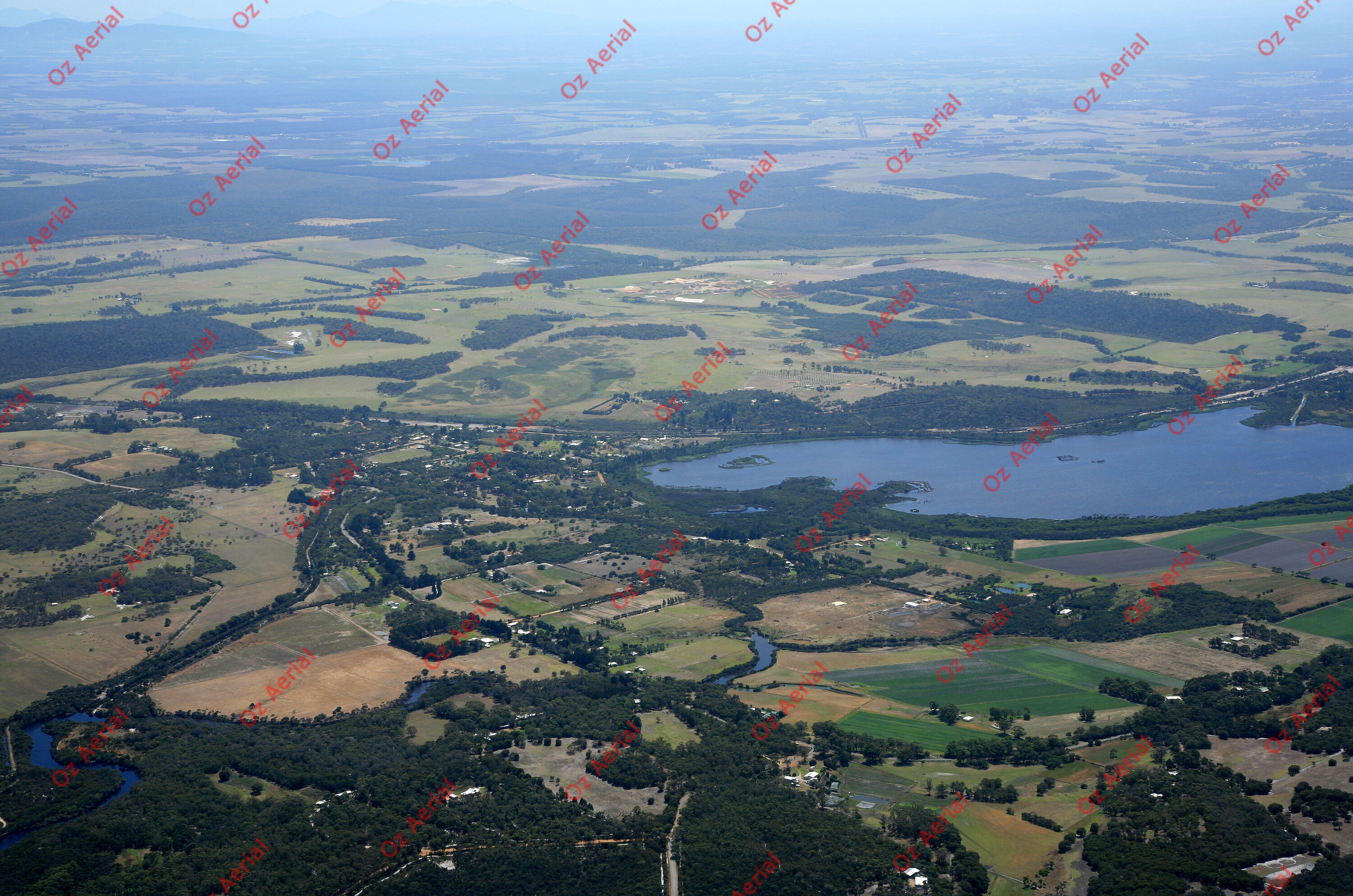 Mutton Bird&nbsp;&nbsp;–&nbsp;&nbsp;IMG_9914.JPG