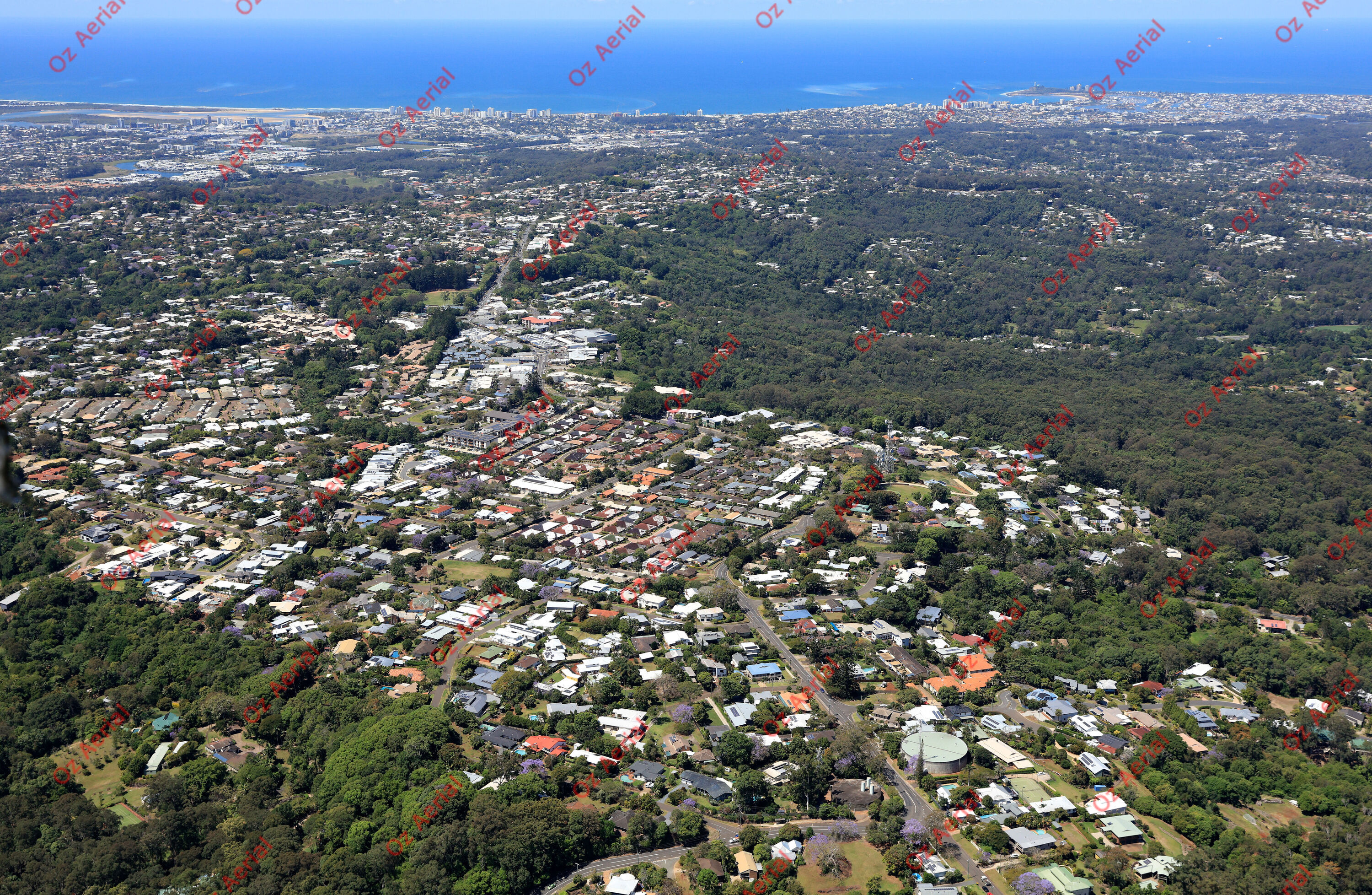 Buderim&nbsp;&nbsp;–&nbsp;&nbsp;IMGL9038.JPG