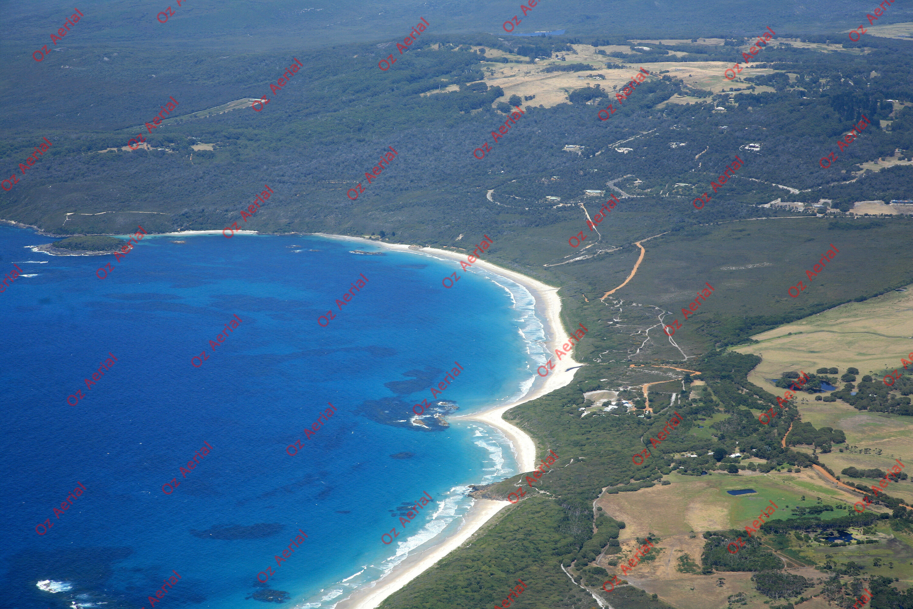 Mutton Bird&nbsp;&nbsp;–&nbsp;&nbsp;IMG_9910.JPG