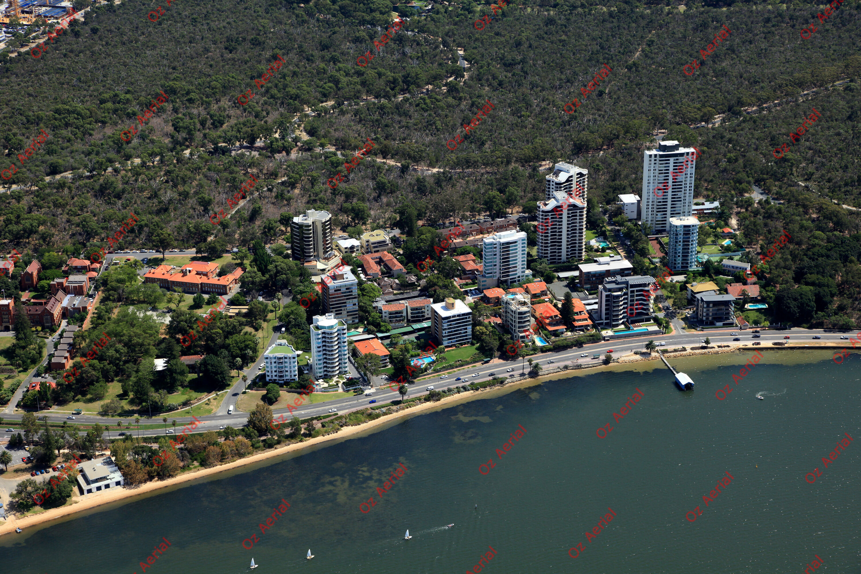 Kings Park&nbsp;&nbsp;–&nbsp;&nbsp;IMG_9620.JPG