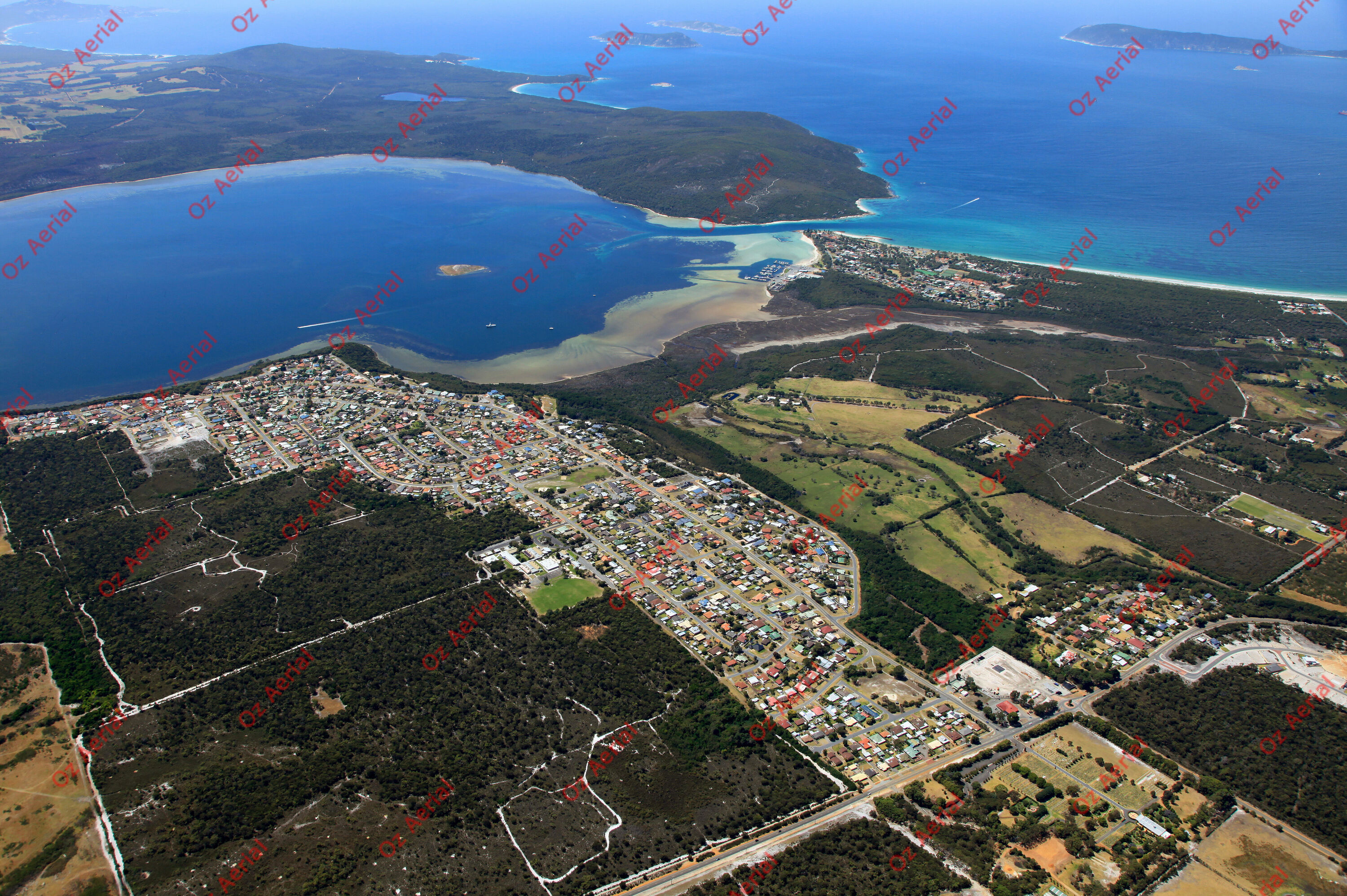 Bayonet Head&nbsp;&nbsp;–&nbsp;&nbsp;IMG_8102.JPG