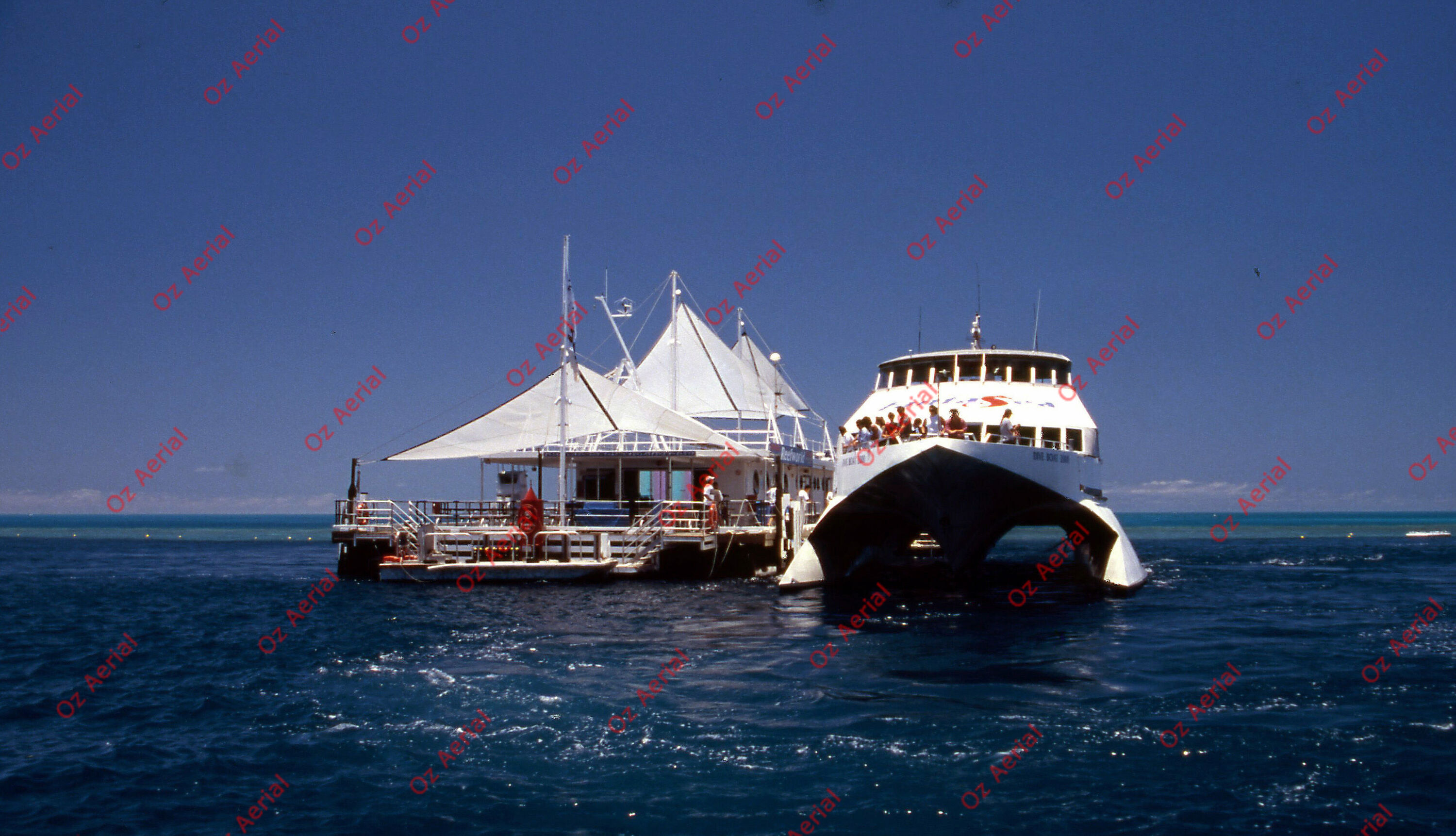 Rainforest to Reef&nbsp;&nbsp;–&nbsp;&nbsp;6095e0d35dcbd_i75.jpg